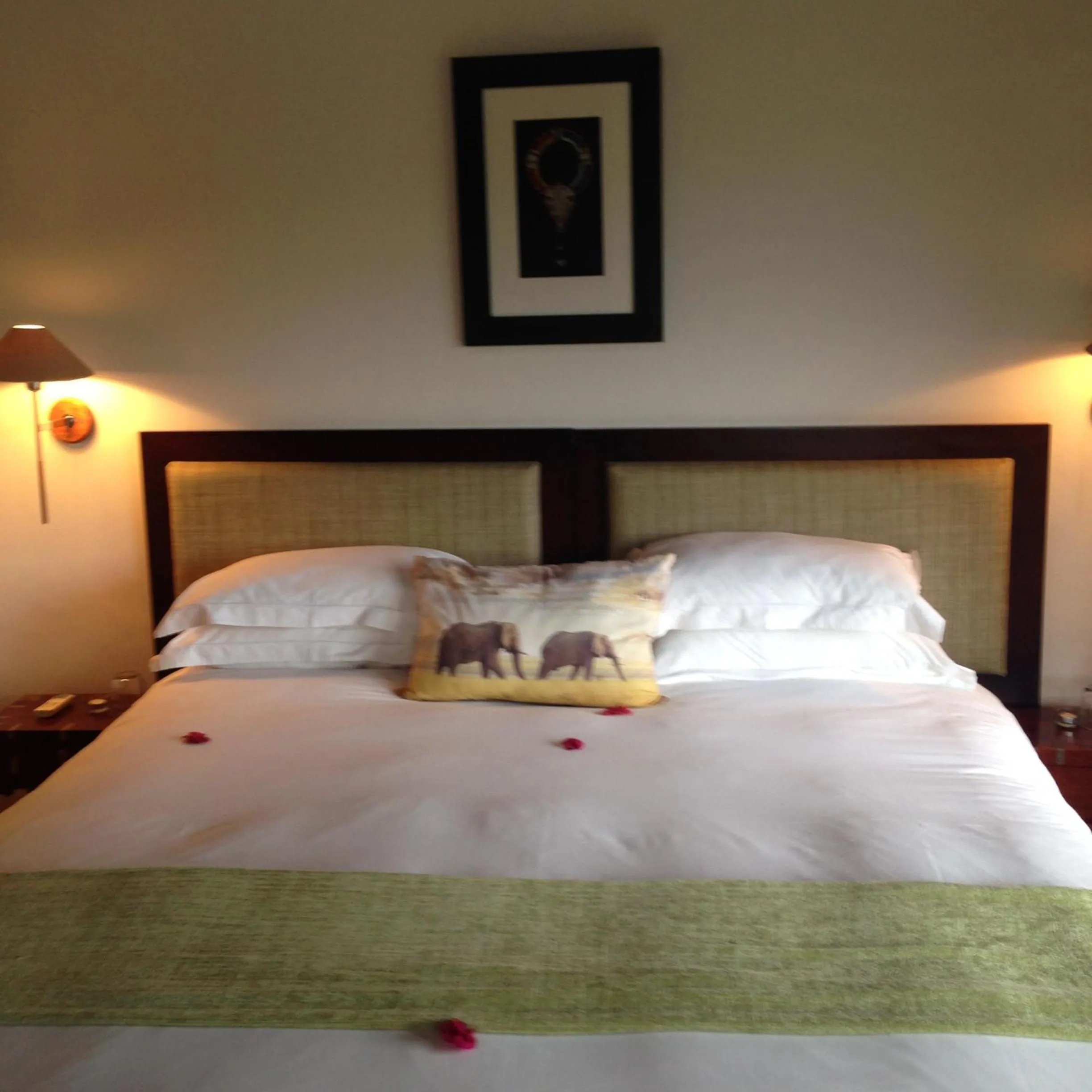 Bed in Hopewell Private Game Reserve