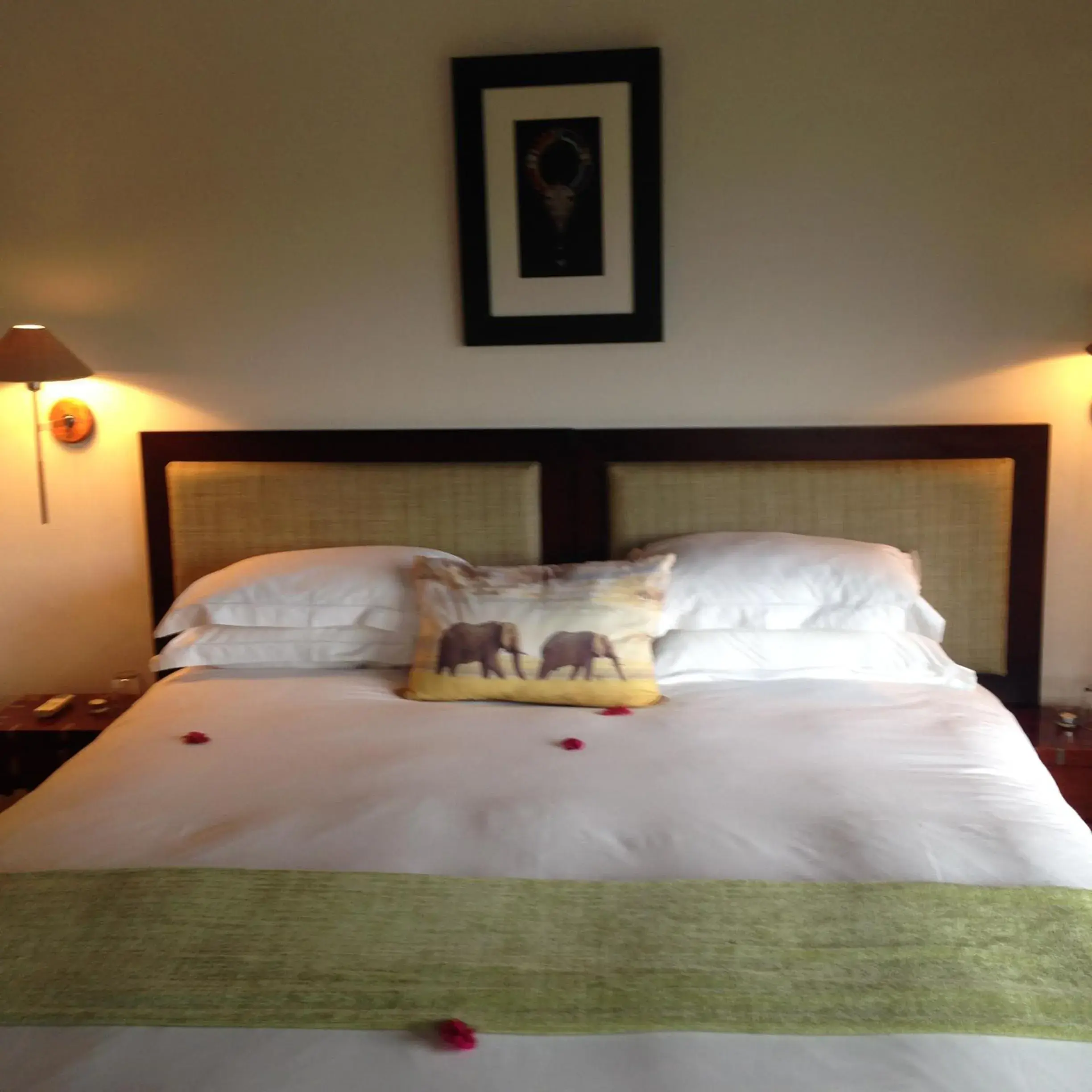 Standard Suite - single occupancy in Hopewell Private Game Reserve Standard Suite - single occupancy in Hopewell Private Game Reserve