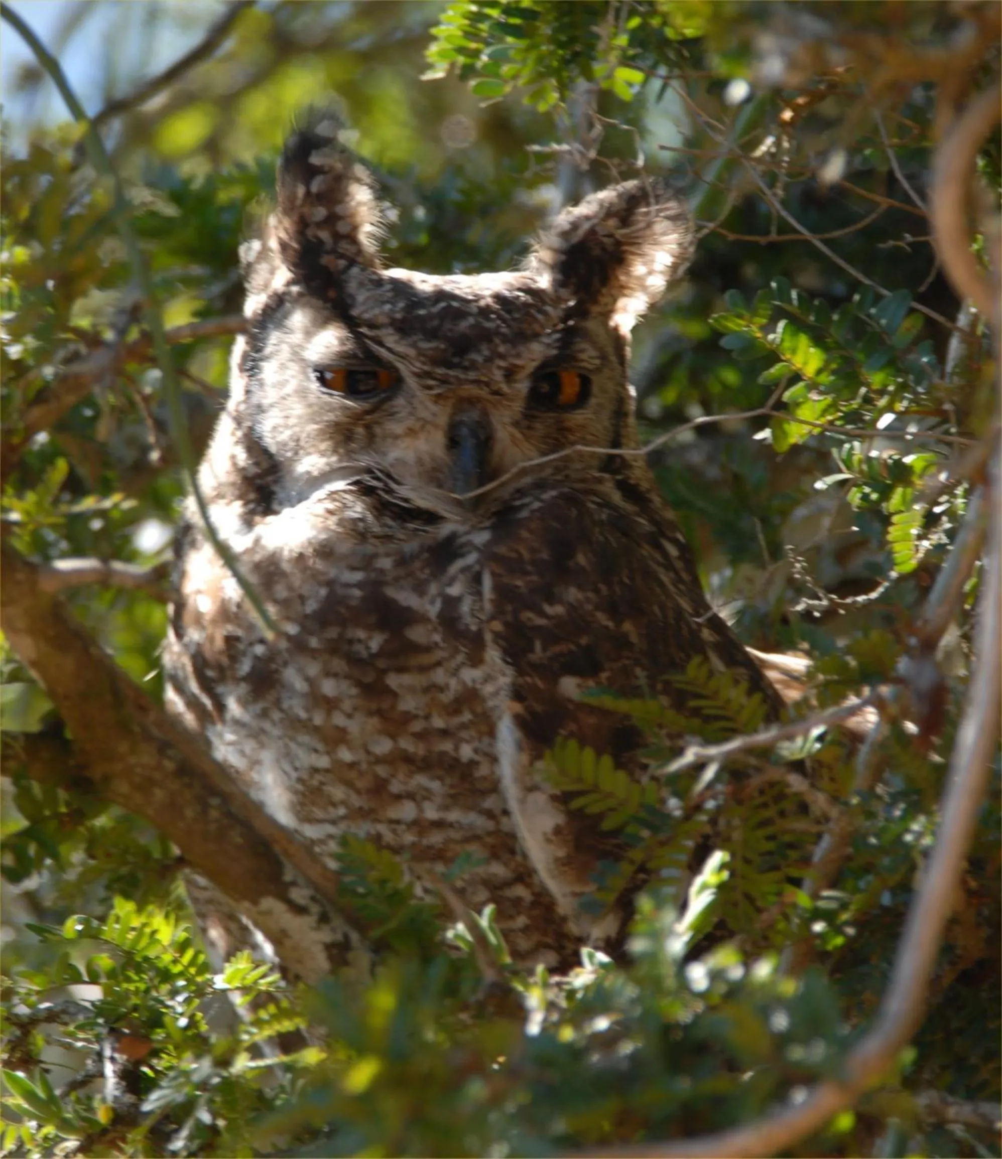 Hopewell Private Game Reserve