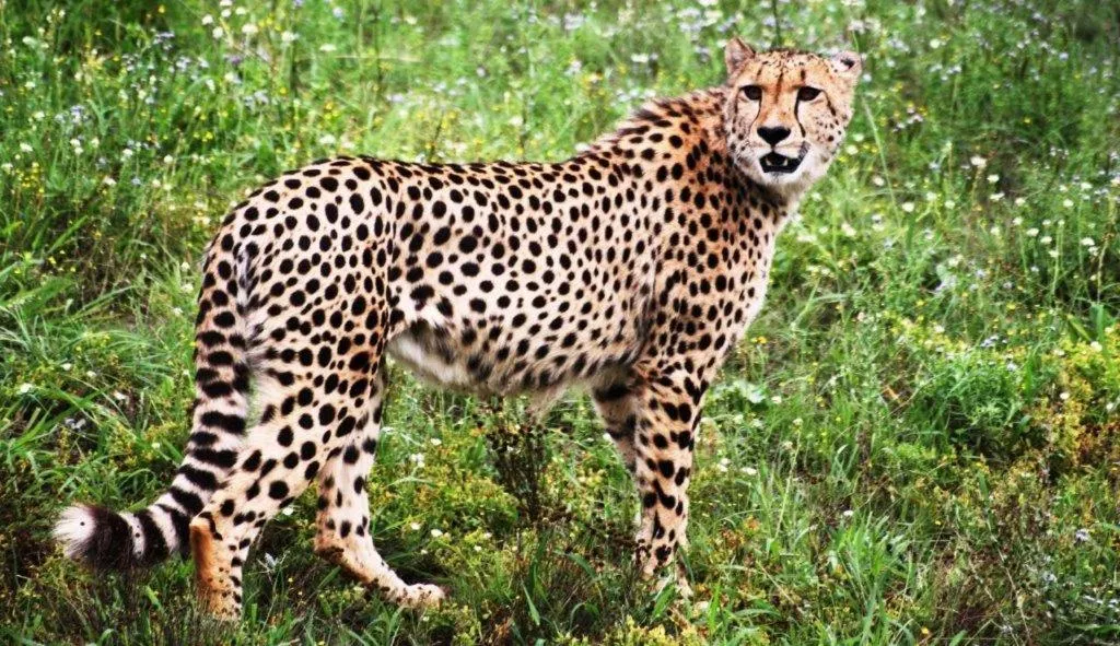 Hopewell Private Game Reserve