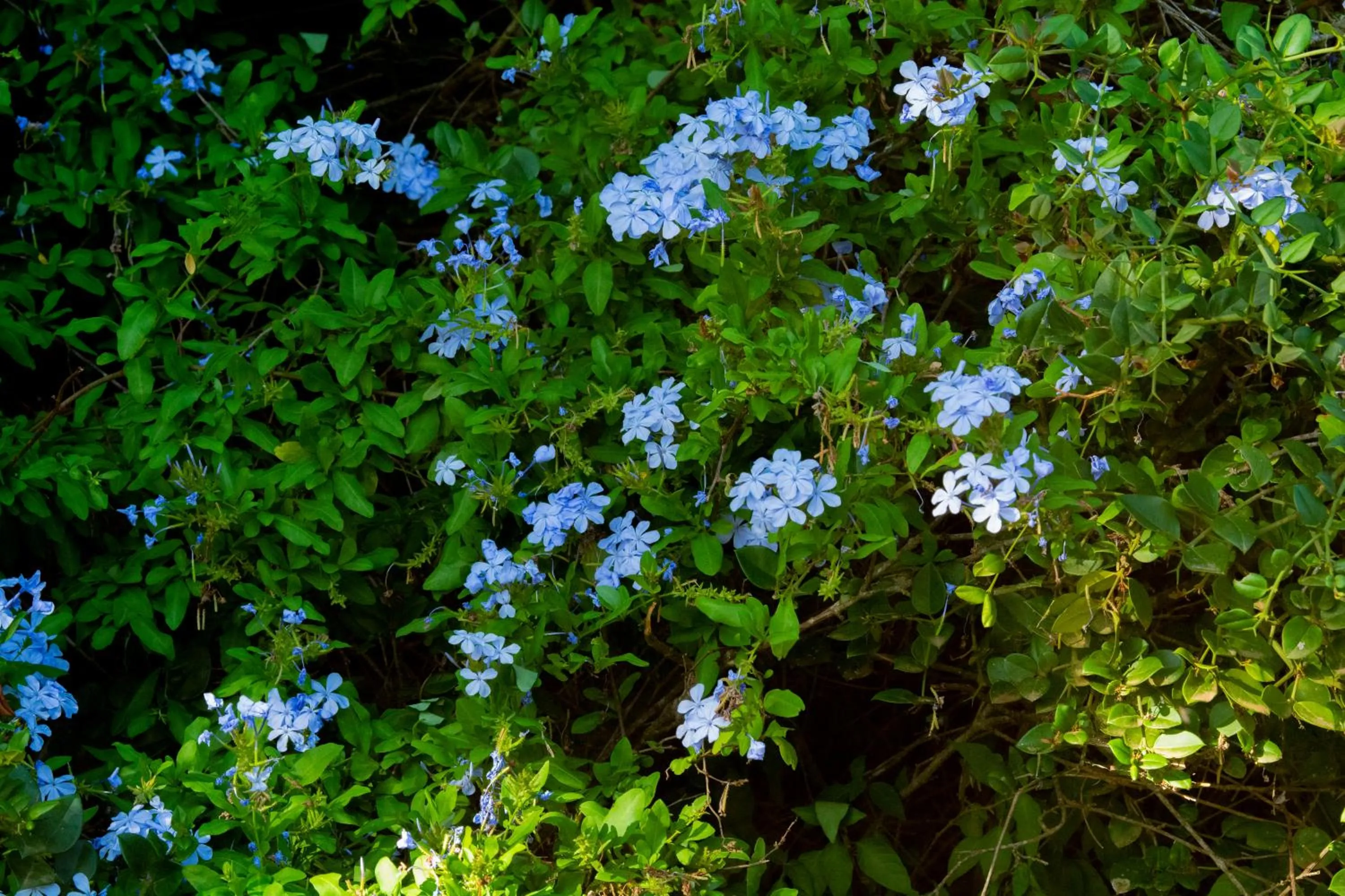 Hopewell Private Game Reserve