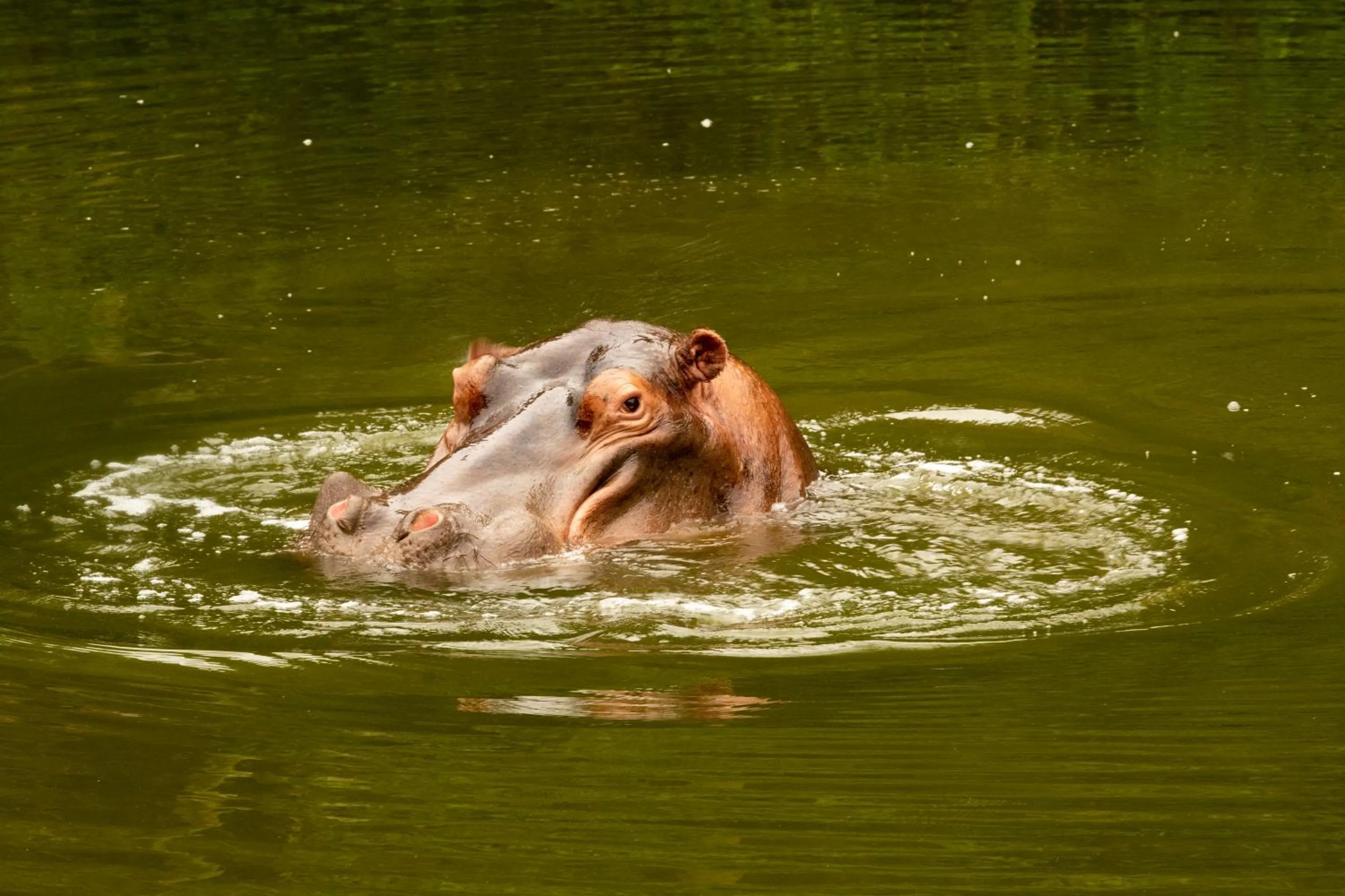 Hopewell Private Game Reserve