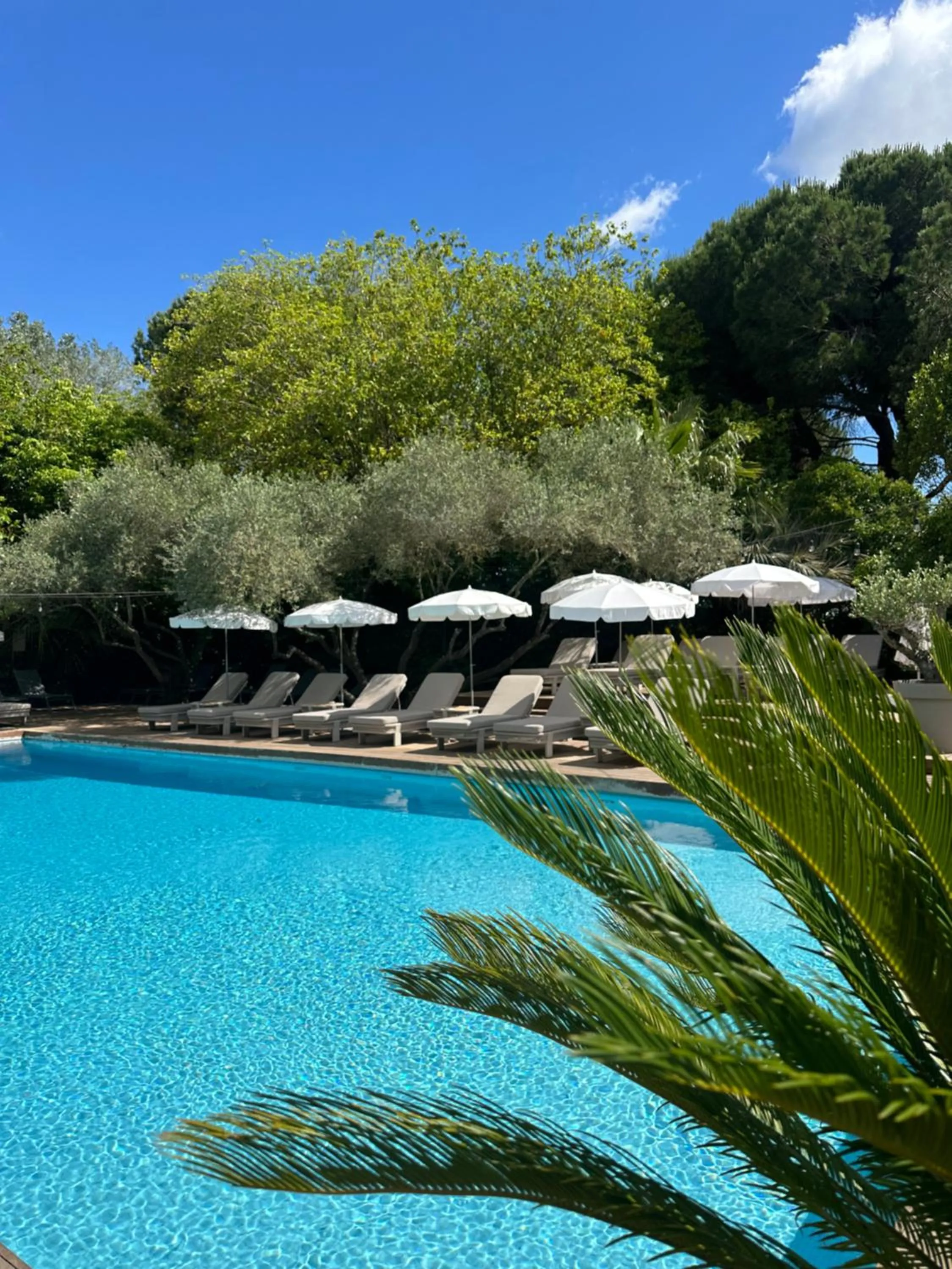 Swimming pool in Le Prose Hôtel
