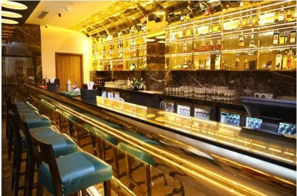 Lounge or bar in SRM Hotel Maraimalai Nagar Chennai