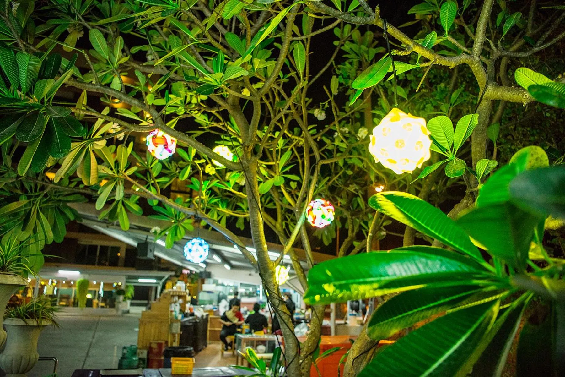 Restaurant/places to eat in The Cotai Luxury Design Hotel