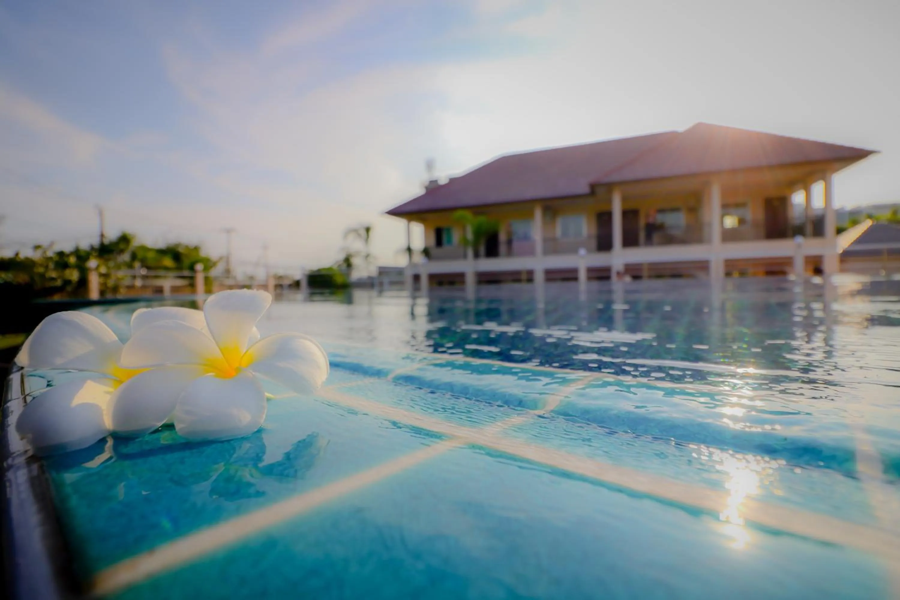 The Cotai Luxury Design Hotel