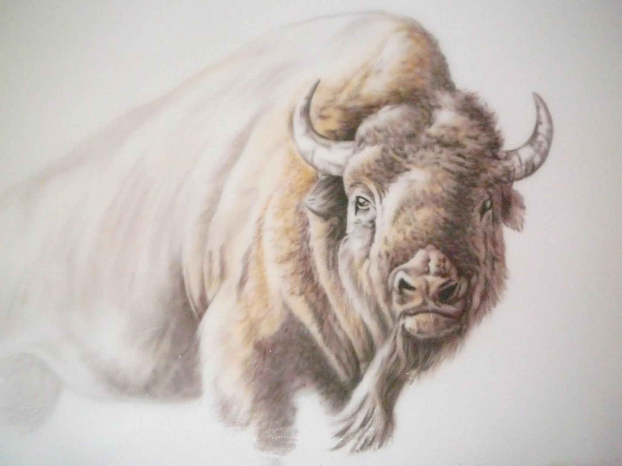 Property logo or sign in Ubytování nad Bisonem