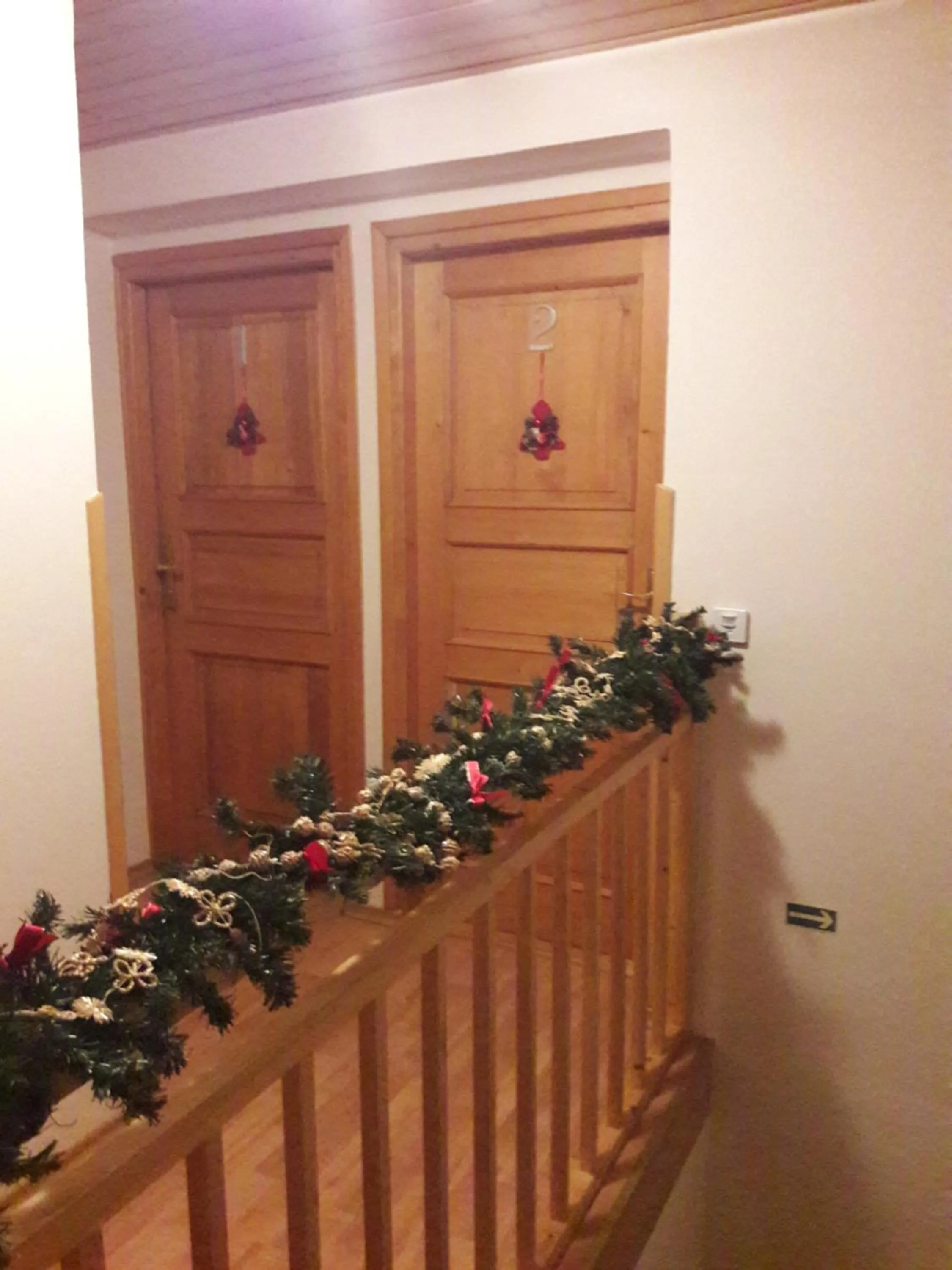 Winter in Ubytování nad Bisonem