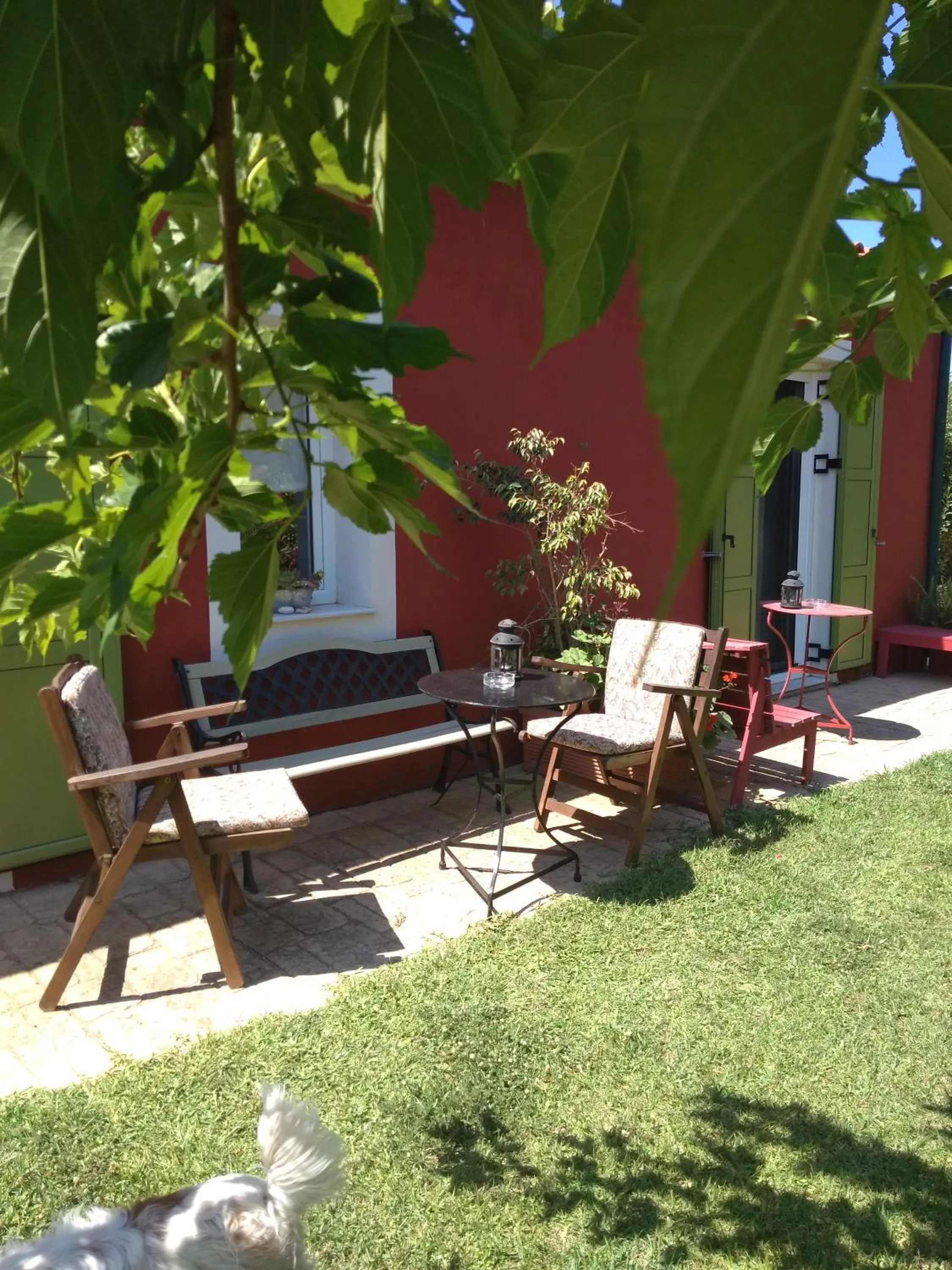 Garden in Volidiera Guesthouse