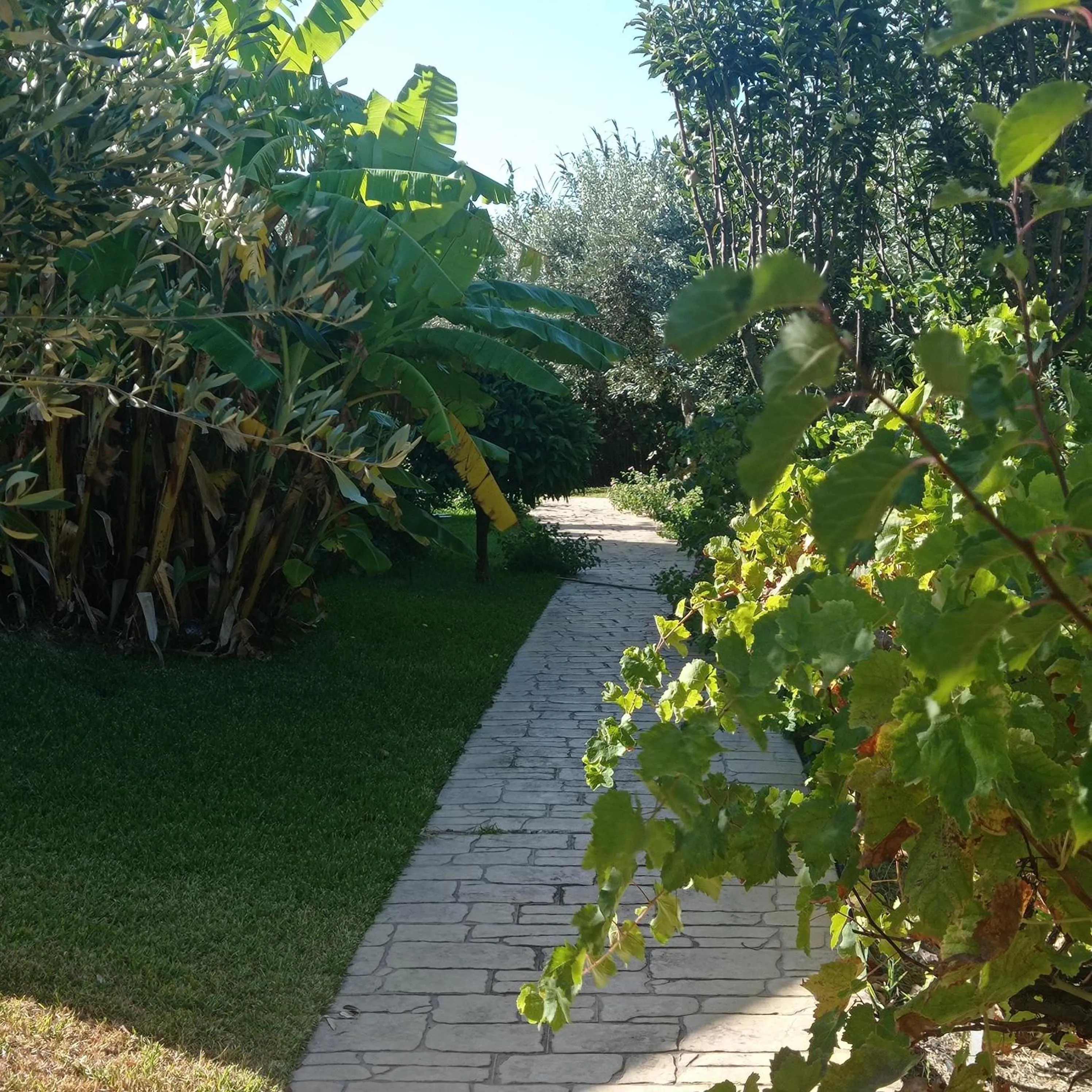 Garden in Volidiera Guesthouse
