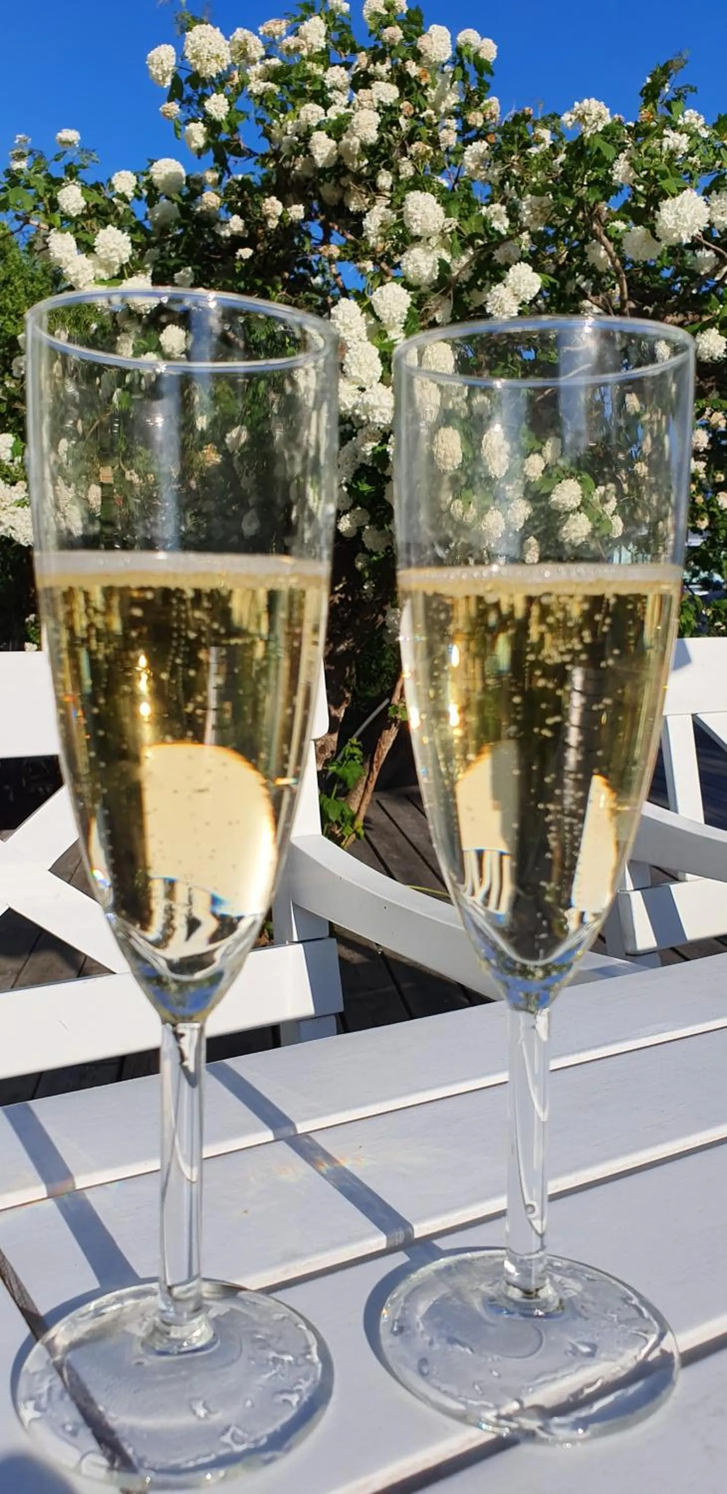 Food and drinks in Gårdshotell Klockargården Öregrund