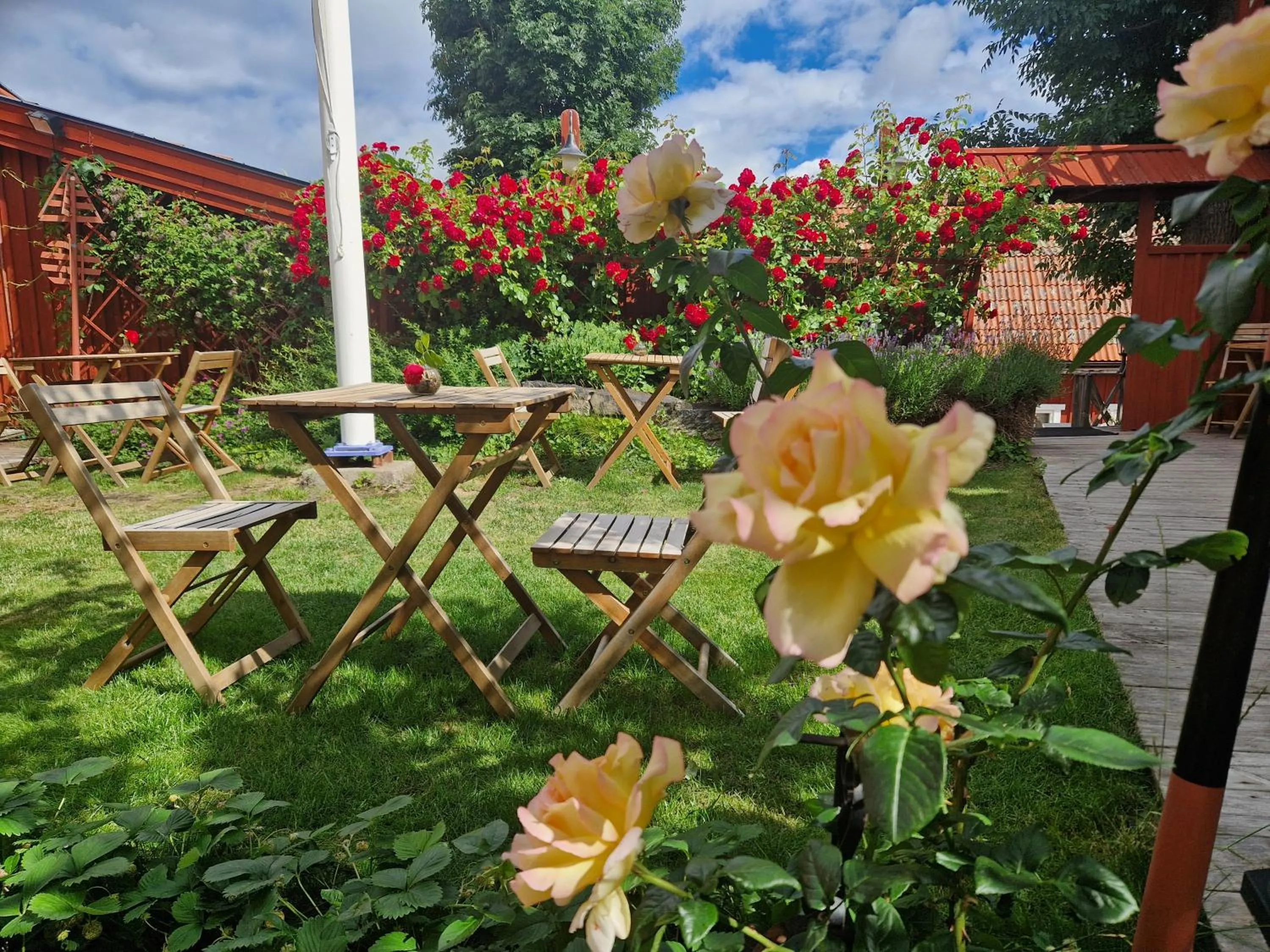 Garden in Gårdshotell Klockargården Öregrund
