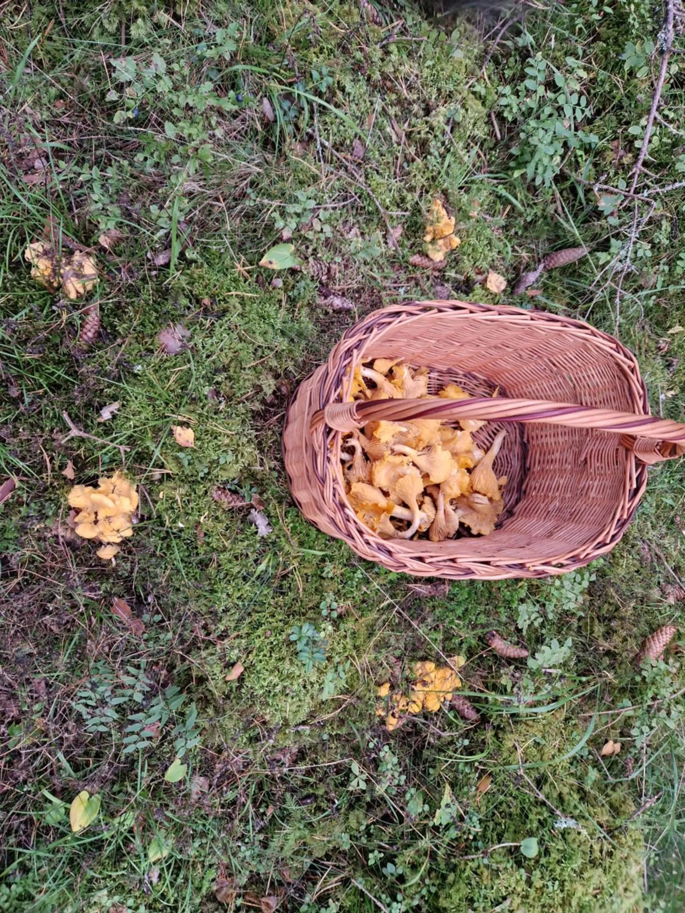 Autumn in Gårdshotell Klockargården Öregrund