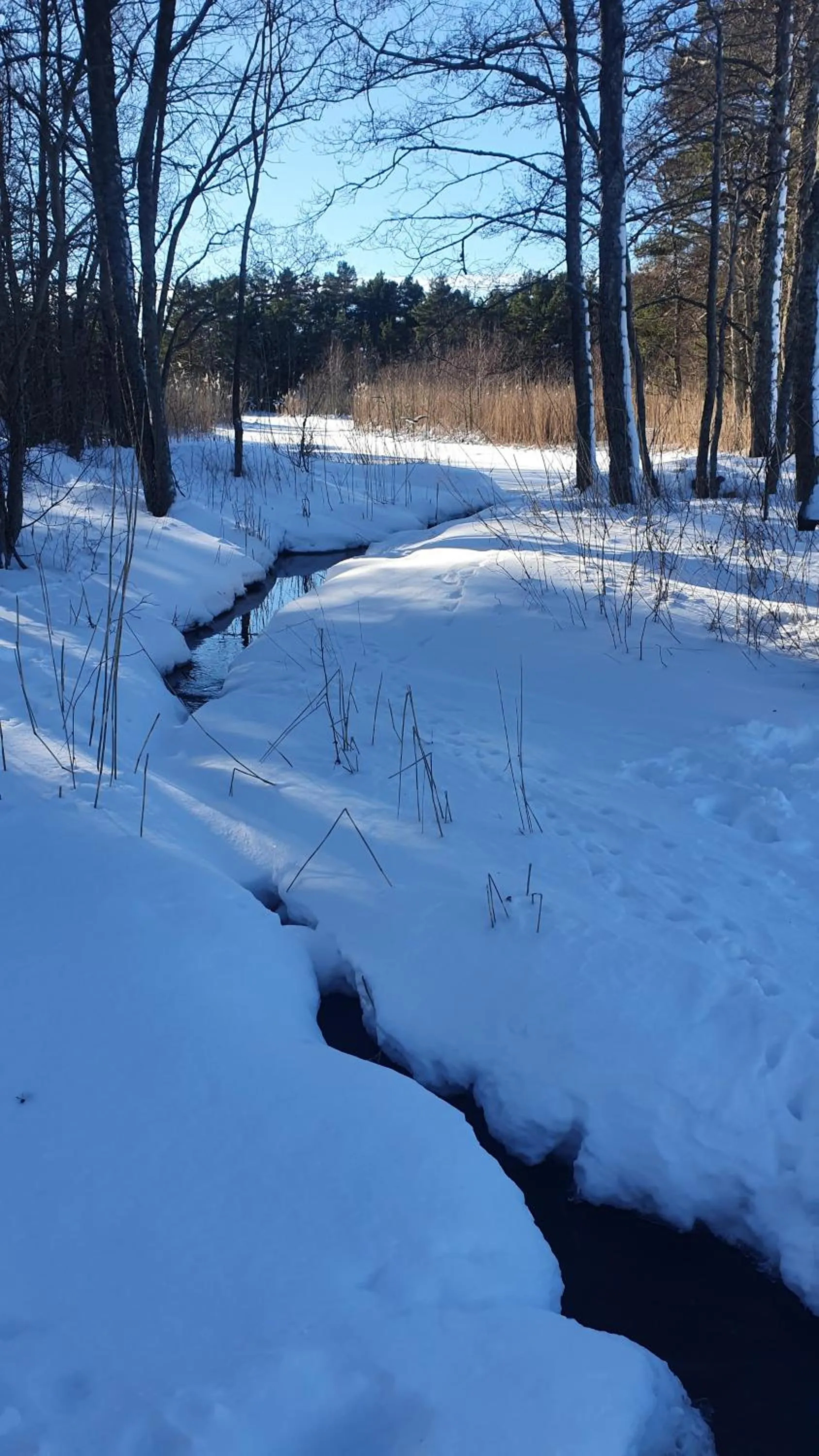 Winter in Gårdshotell Klockargården Öregrund