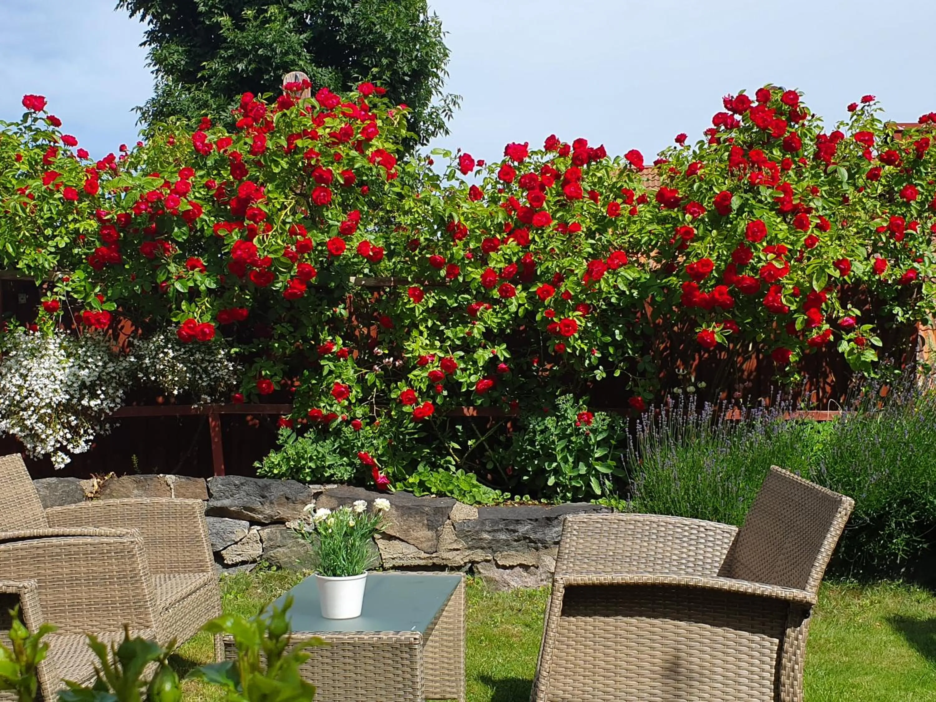 Garden in Gårdshotell Klockargården Öregrund