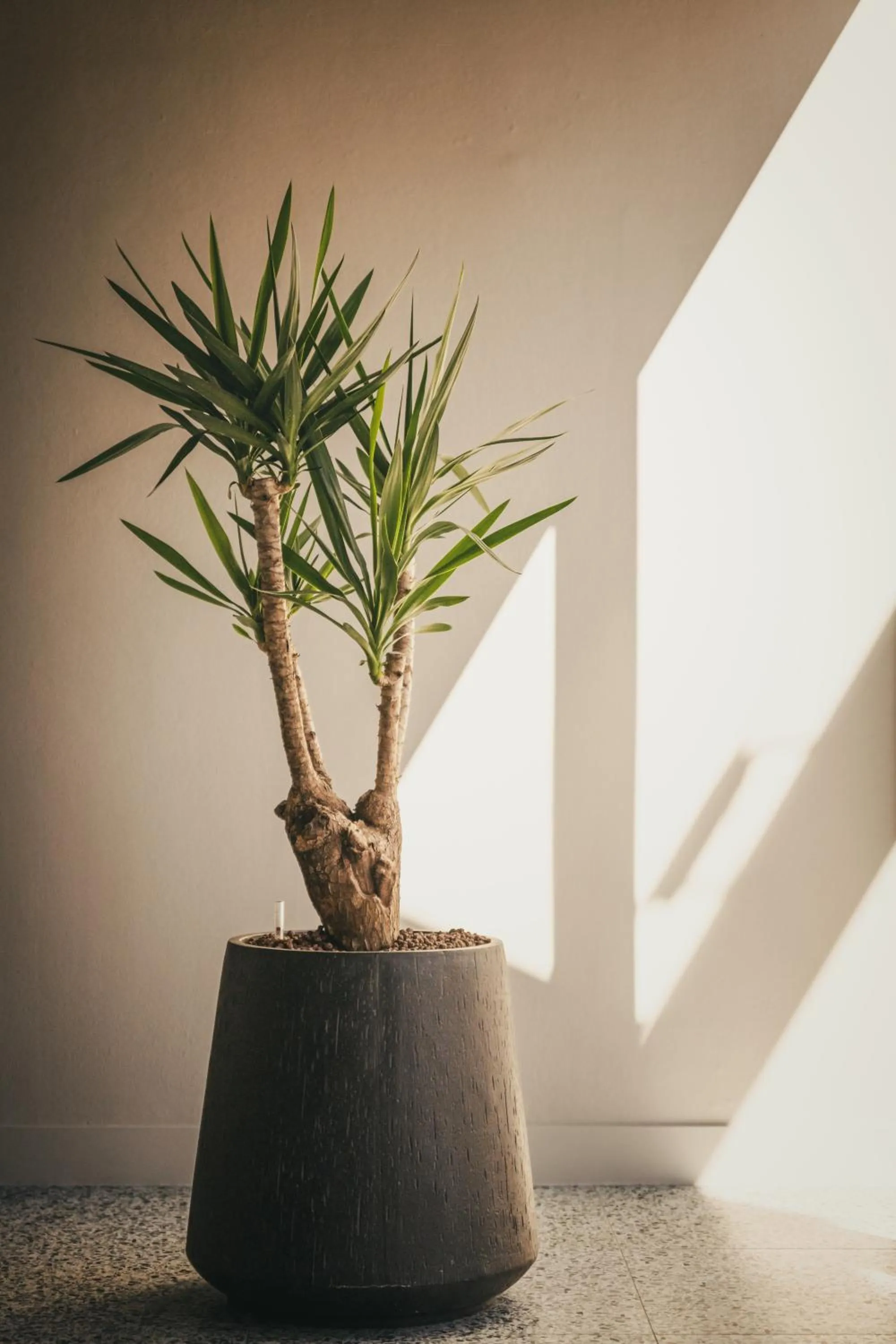 Property building in ibis Styles Brugge Centrum