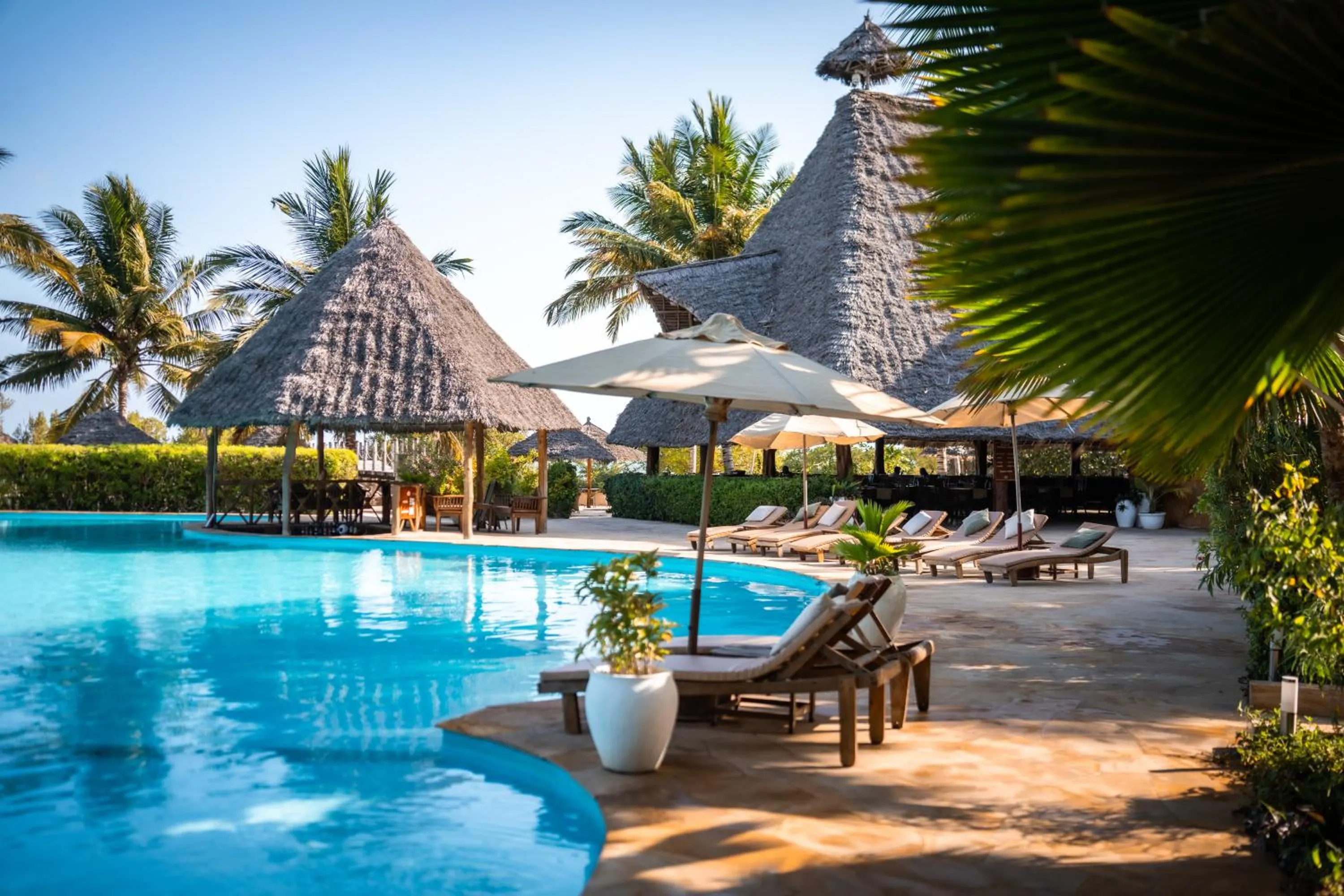 Pool view in White Paradise Zanzibar