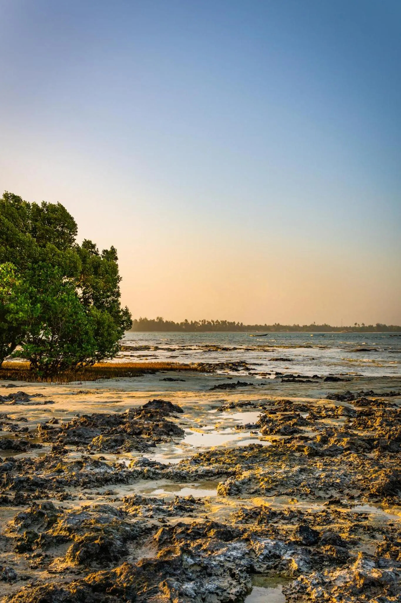 Natural landscape in White Paradise Zanzibar