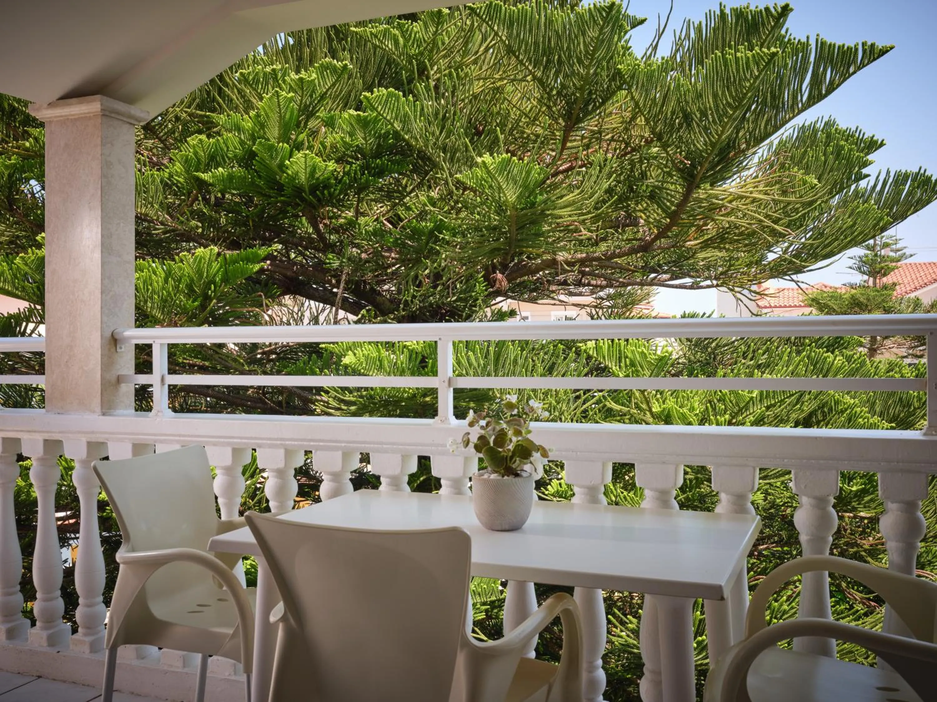 Balcony/Terrace in Alamis Hotel & Apartments