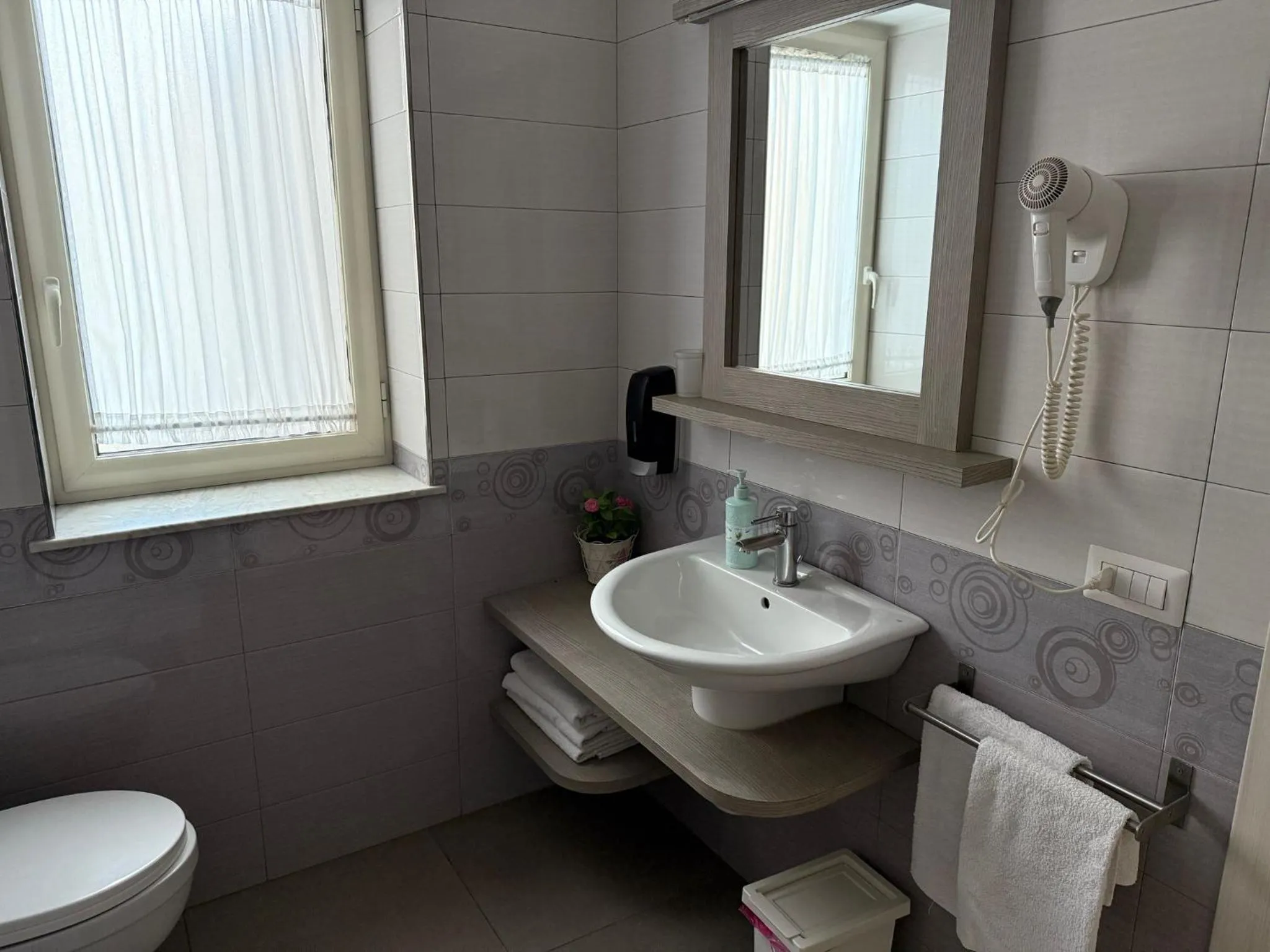 Toilet in Bed and Breakfast Aereoparking