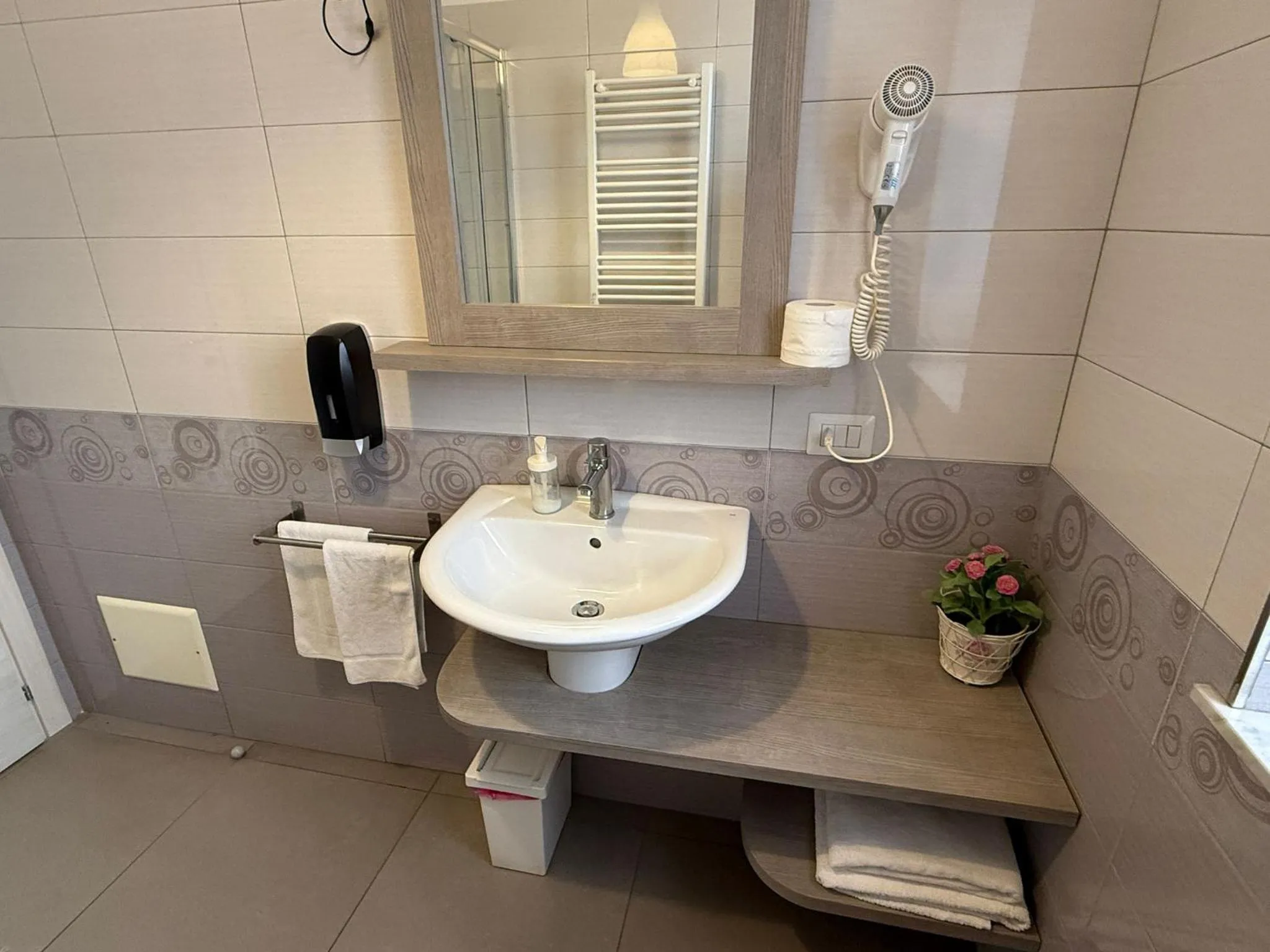 Bathroom in Bed and Breakfast Aereoparking