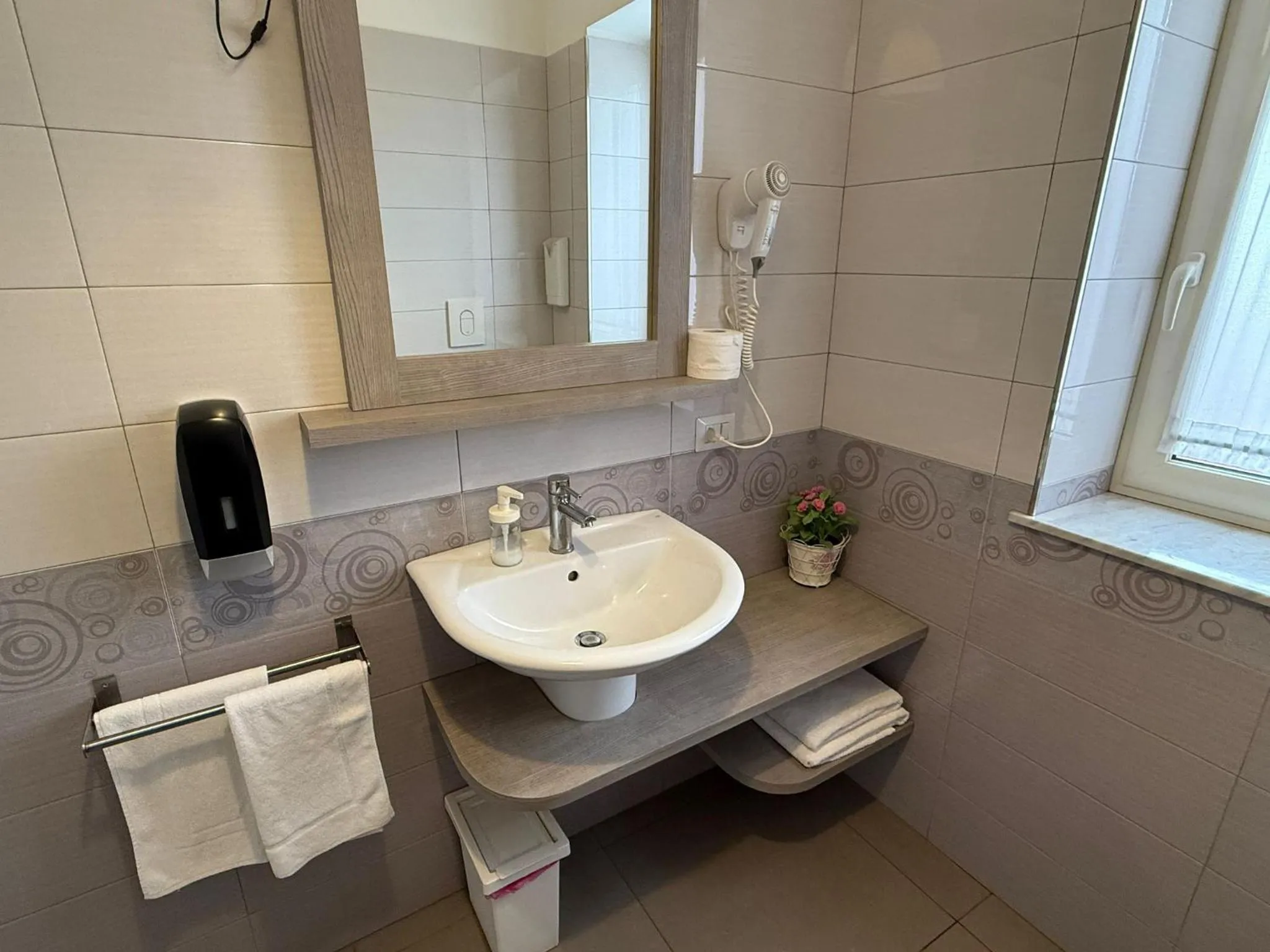 Bathroom in Bed and Breakfast Aereoparking