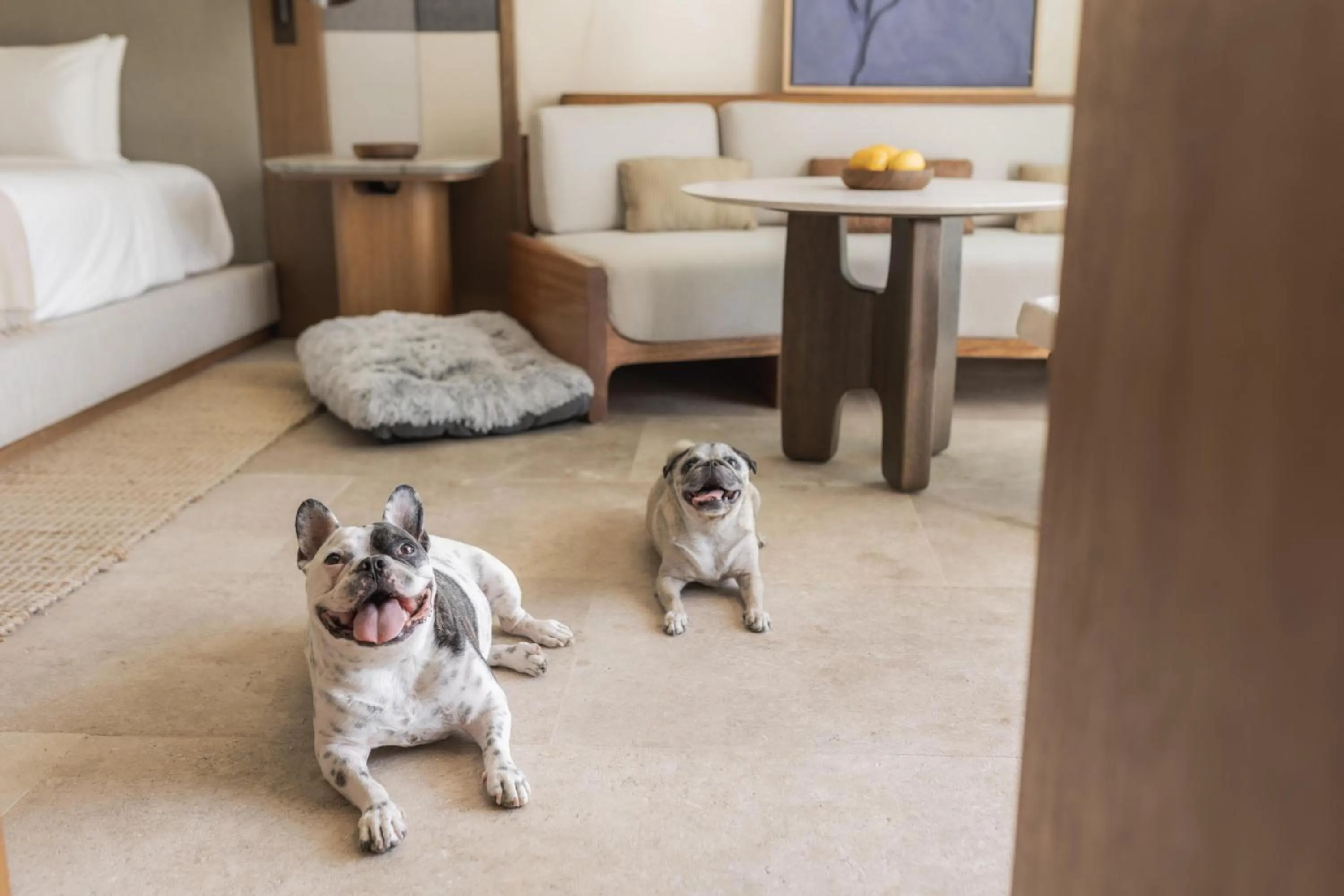 Photo of the whole room in Alila Mayakoba