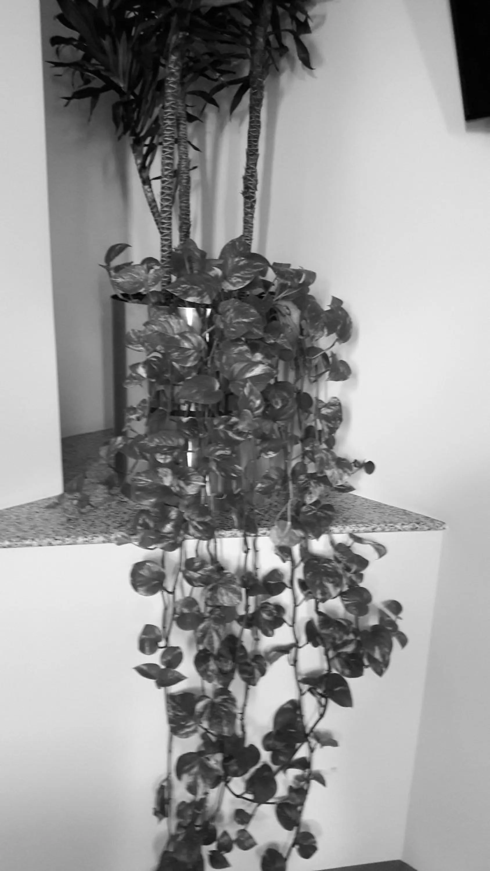 Hotel y Villas Natura