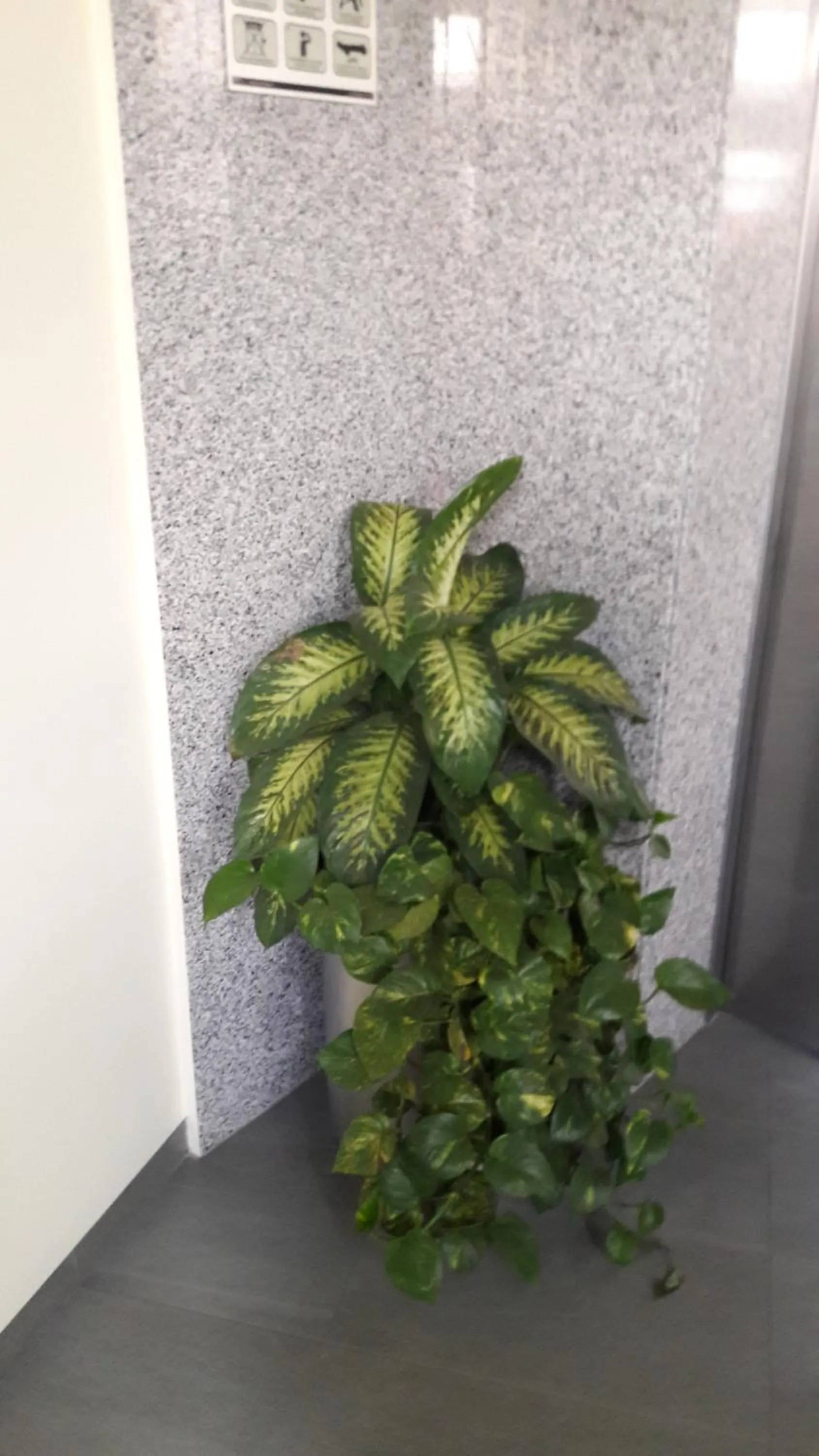 Hotel y Villas Natura