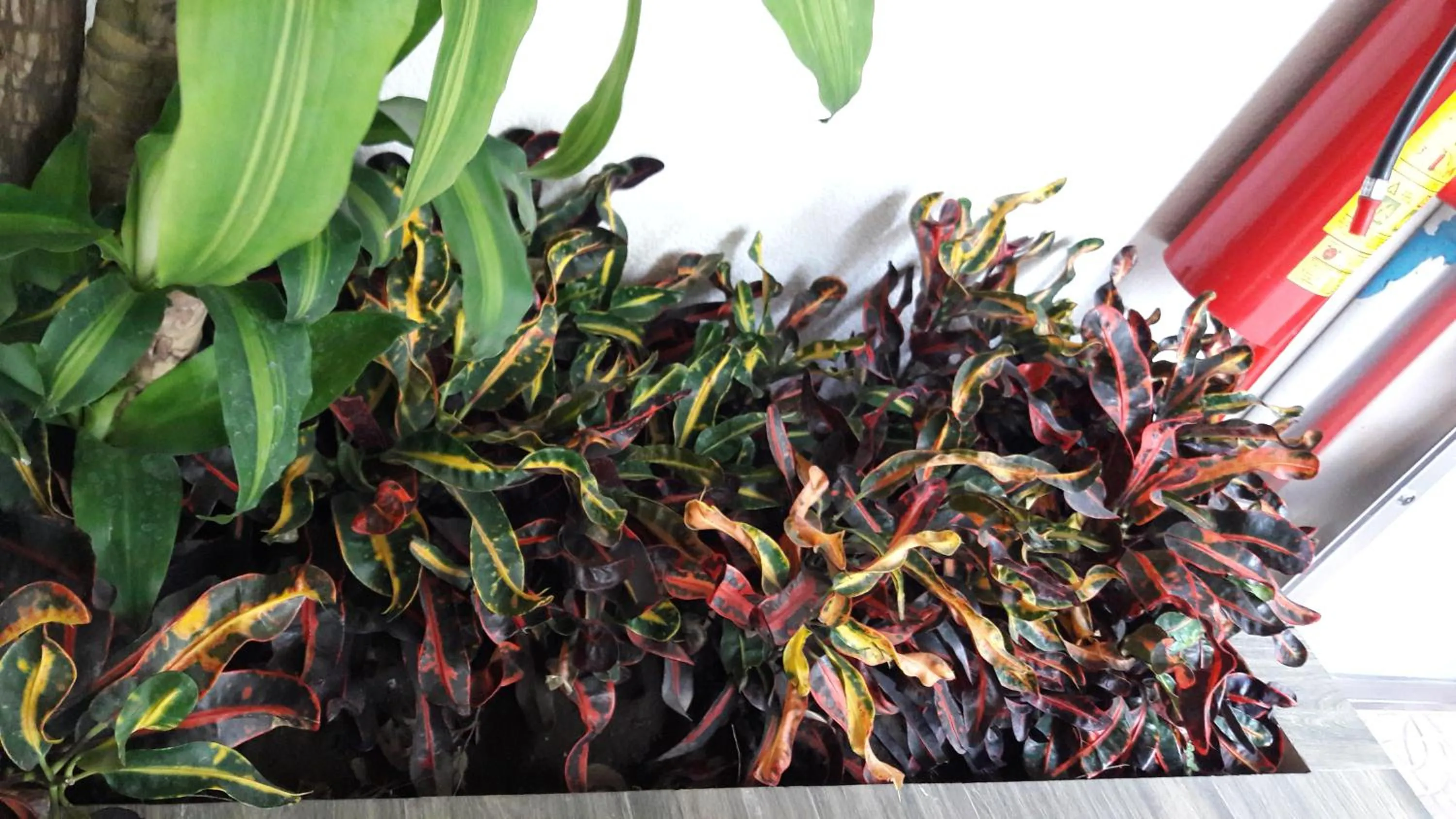 Hotel y Villas Natura