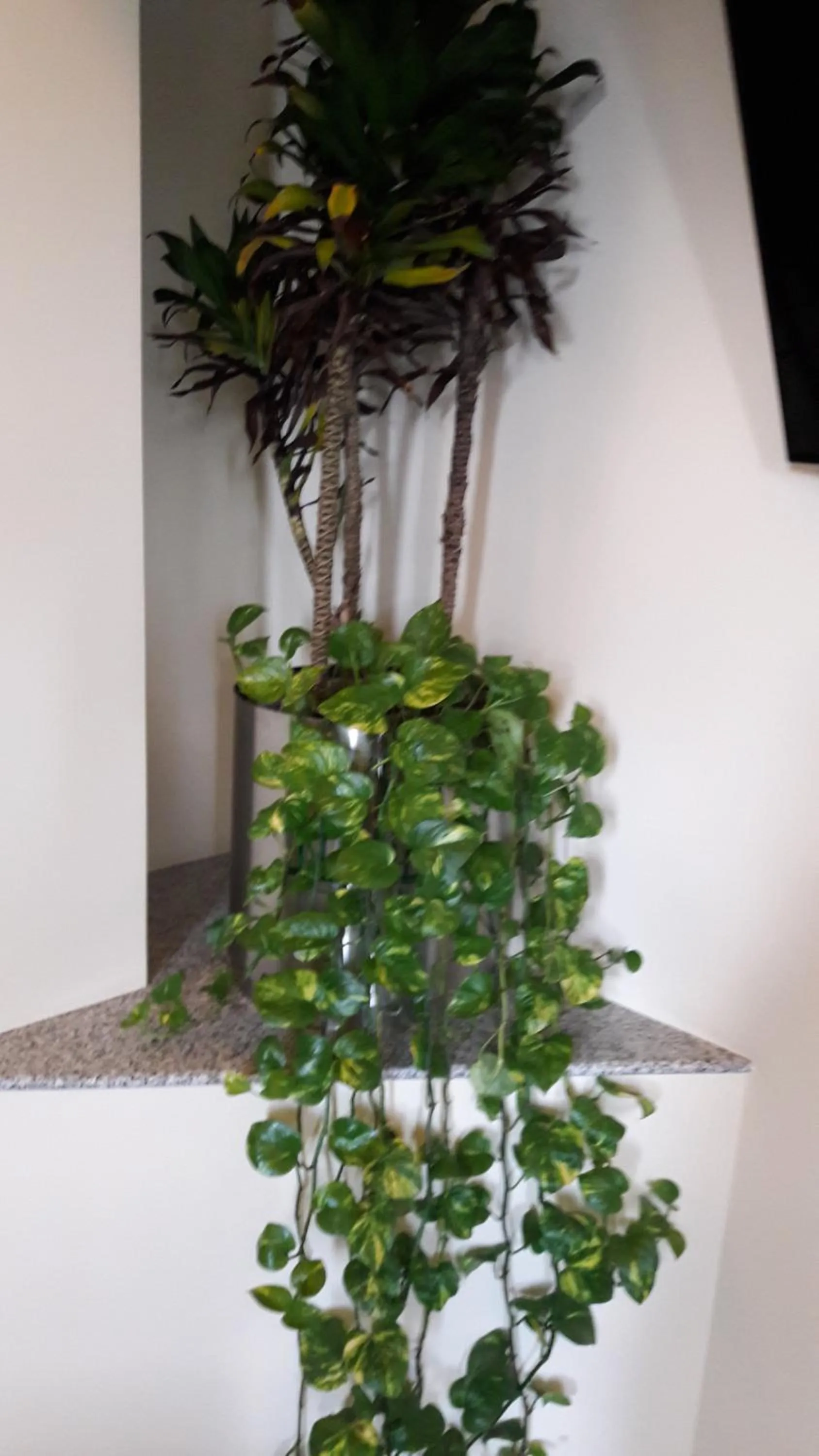 Hotel y Villas Natura