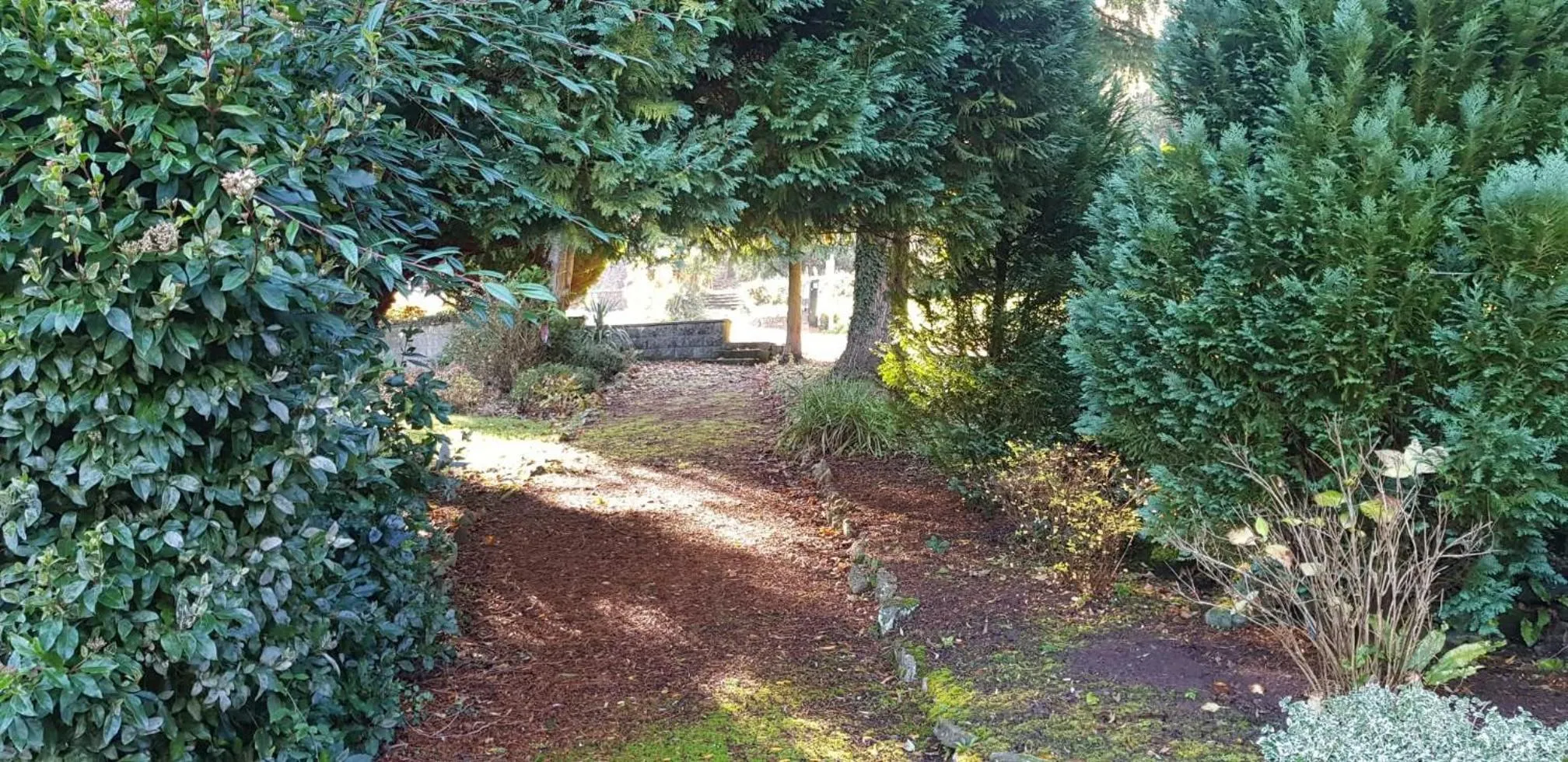 Spring in The Paddocks Hotel