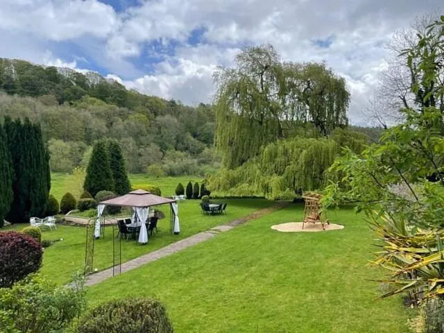 Day in The Paddocks Hotel