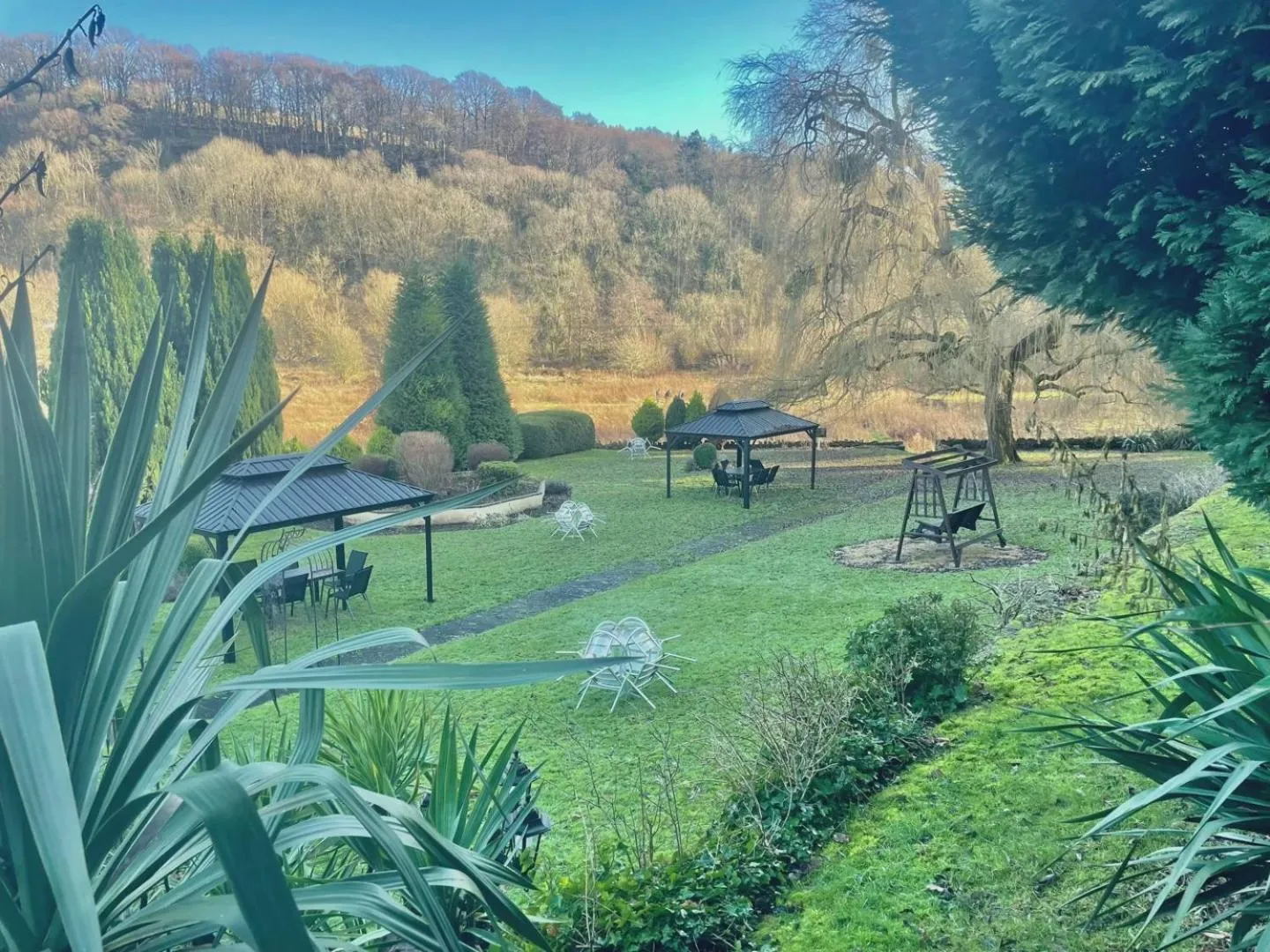 Day in The Paddocks Hotel