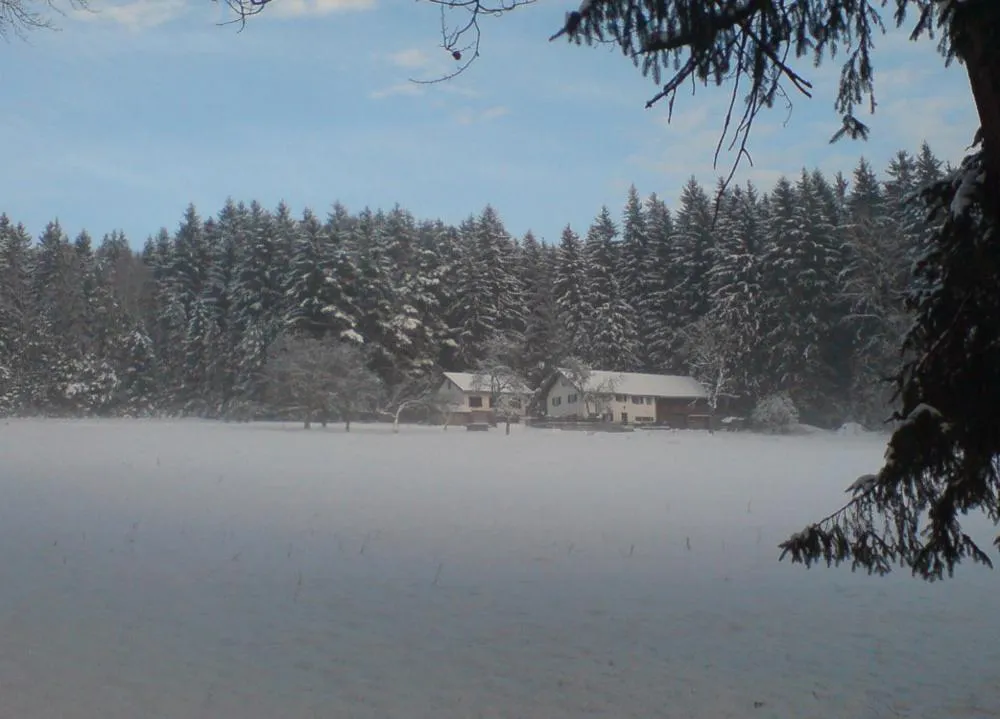 Property building in Pension am Waldesrand