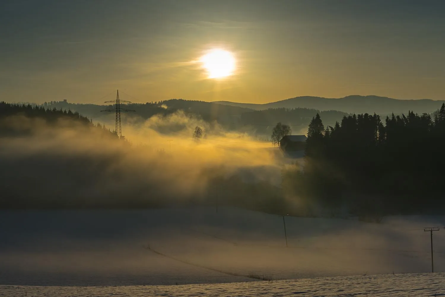 View (from property/room) in Pension am Waldesrand