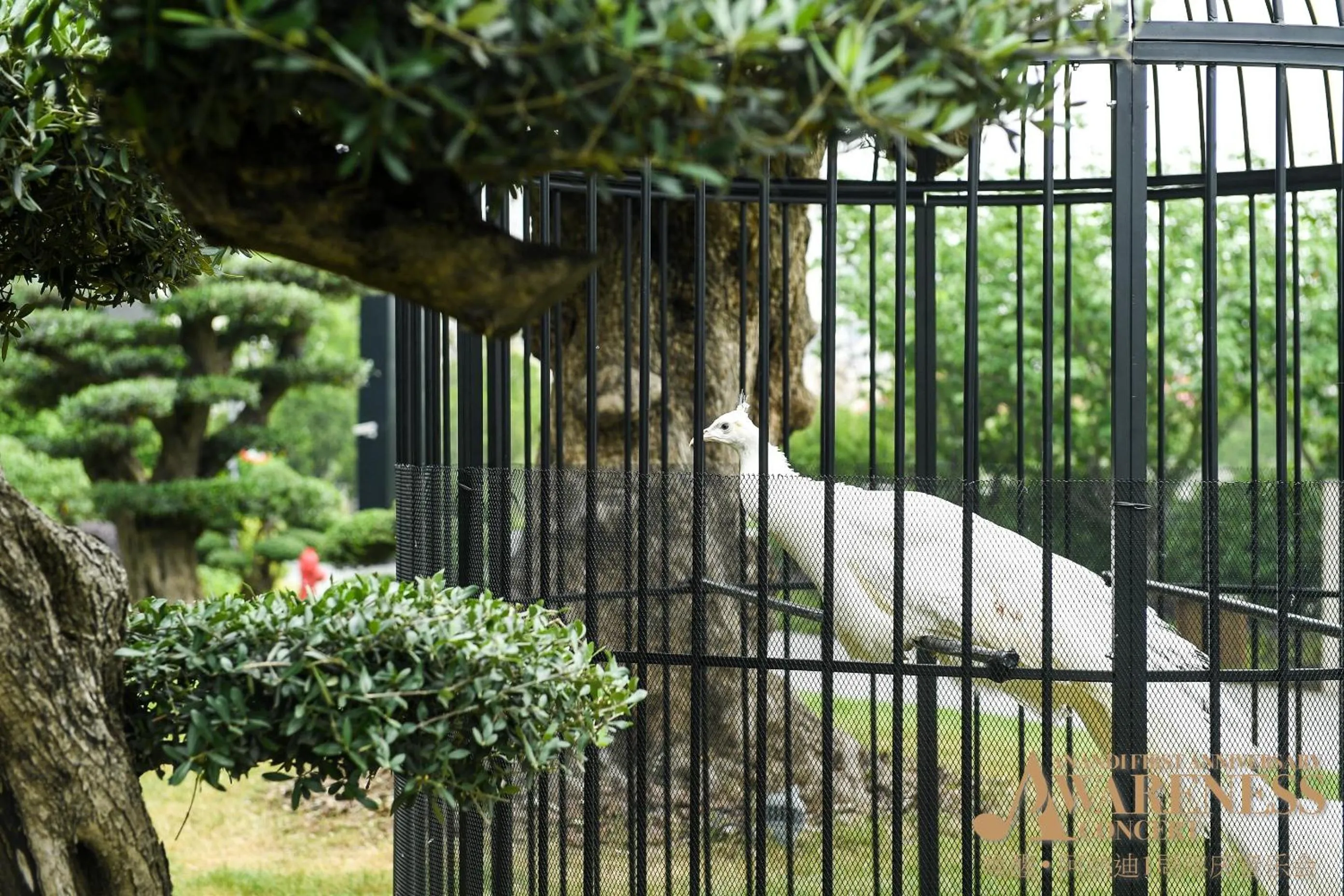 The Anandi Hotel and SPA - Luxury Healing Hotel for Wellbeing