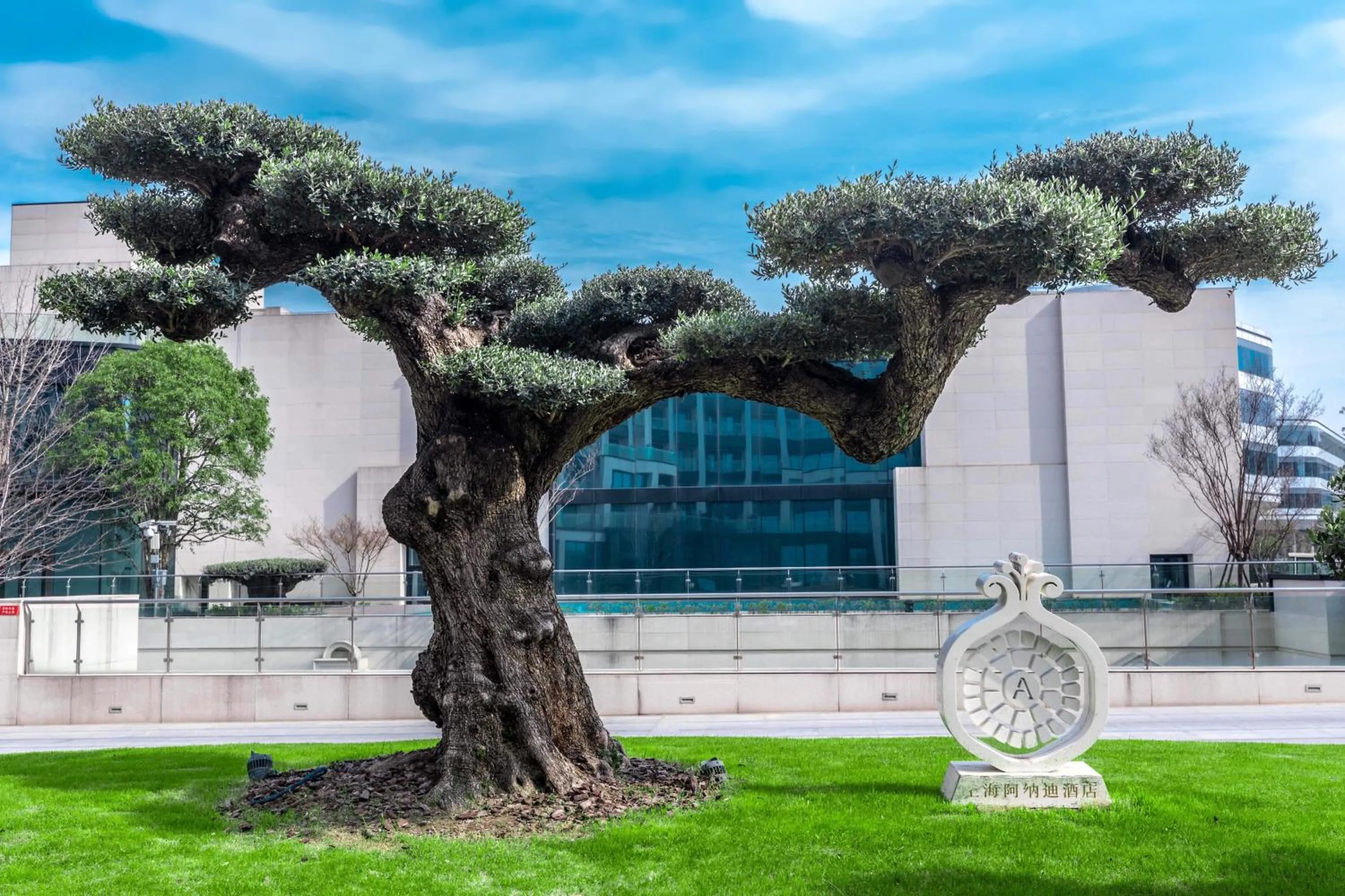 The Anandi Hotel and SPA - Luxury Healing Hotel for Wellbeing