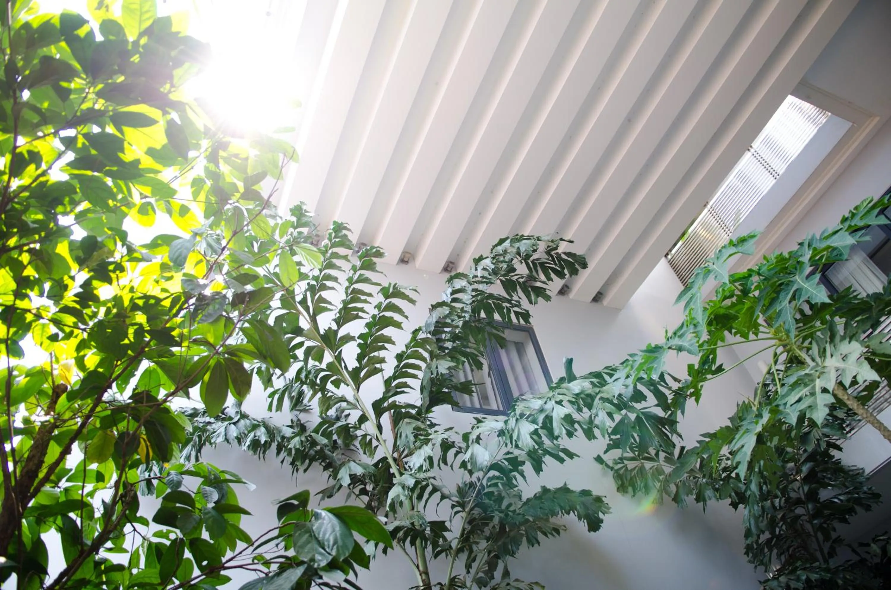 Patio in Hotel Five.S