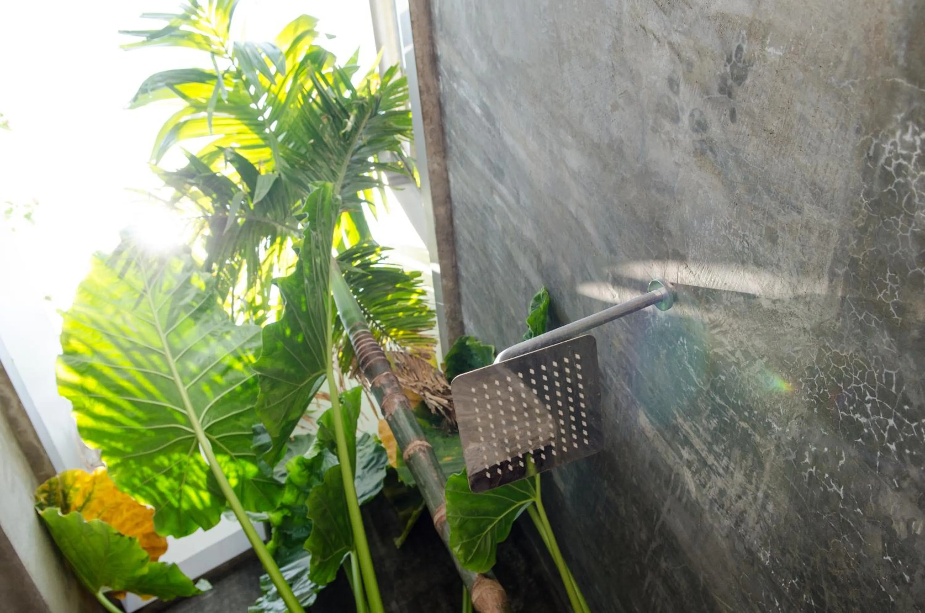 Bathroom in Hotel Five.S