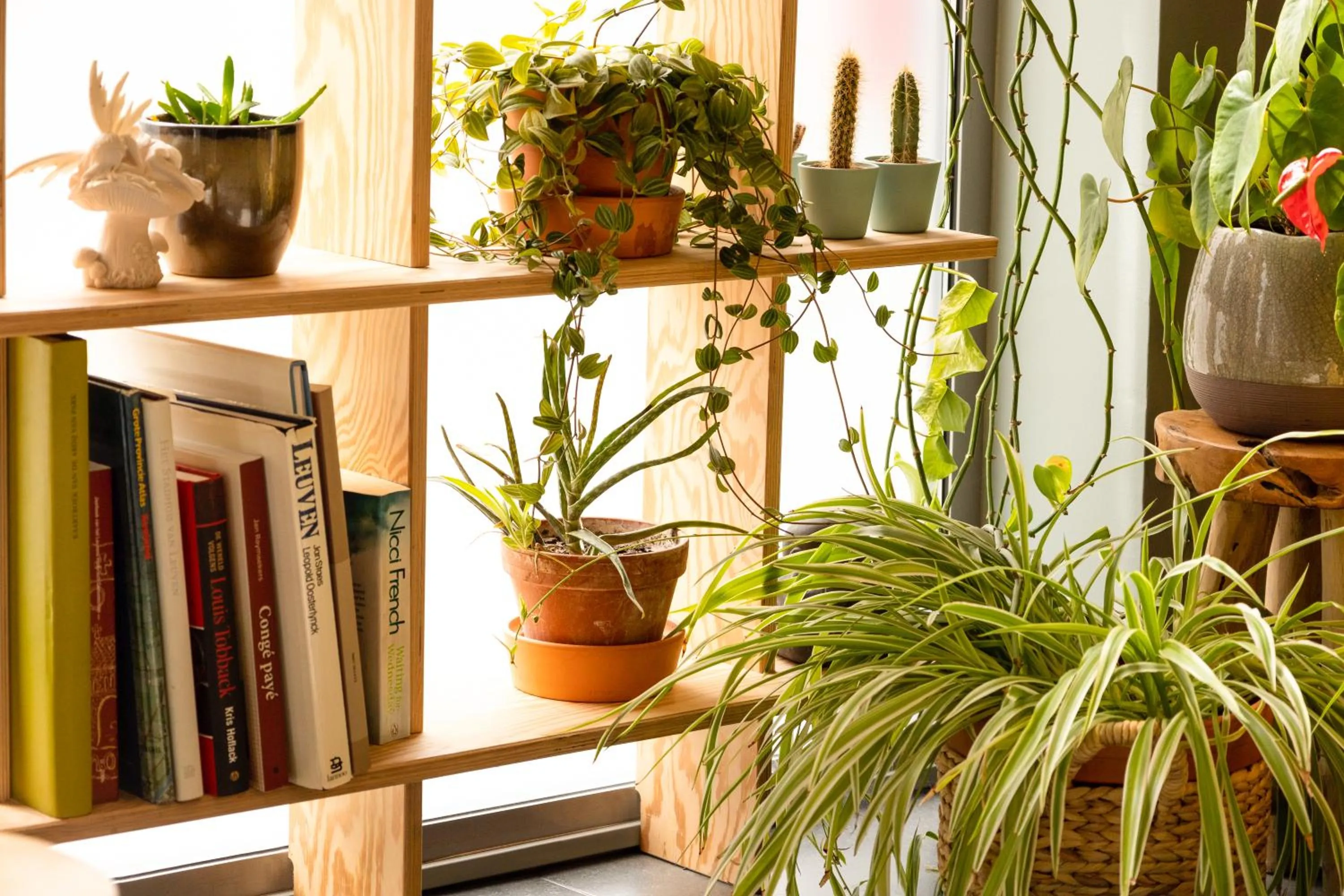 Lobby or reception in ibis Leuven Centrum