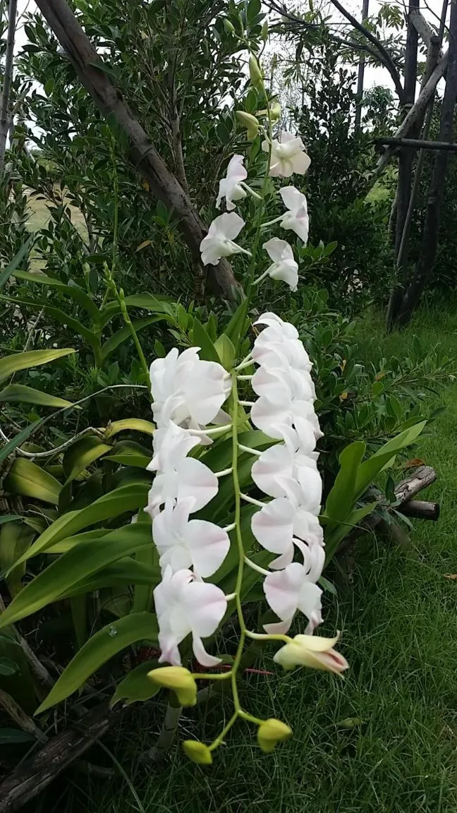 Property building in T'Luck House Resort