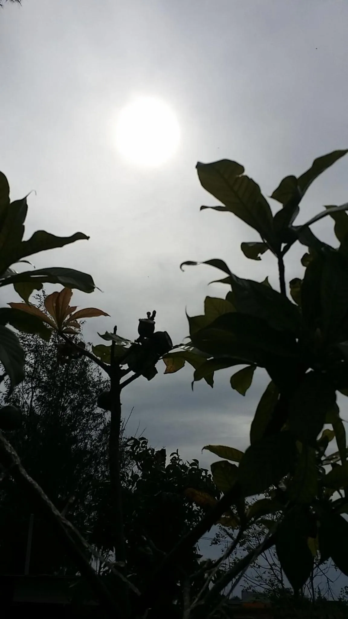 Property building in T'Luck House Resort