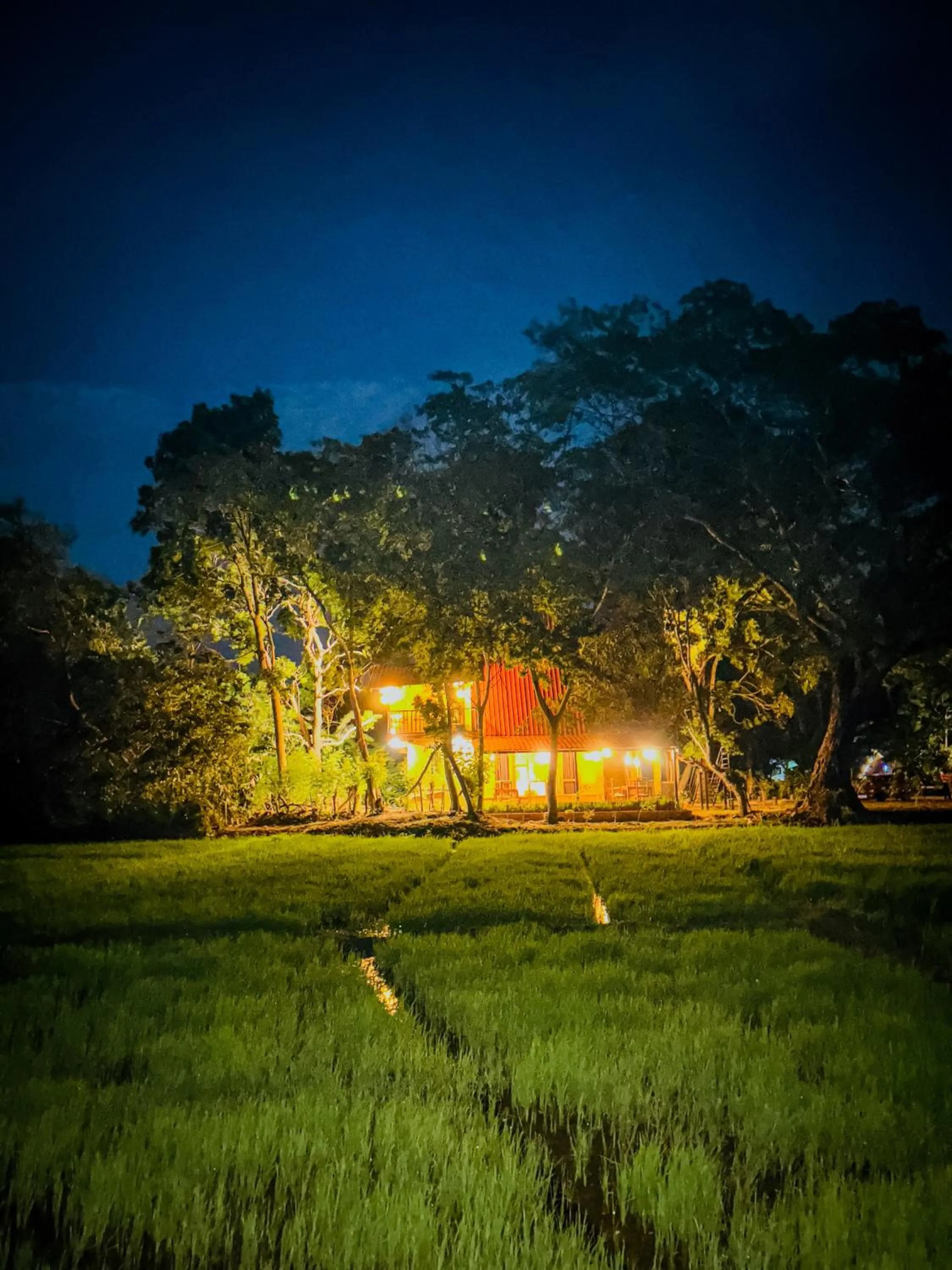 Ama Villa - Habarana