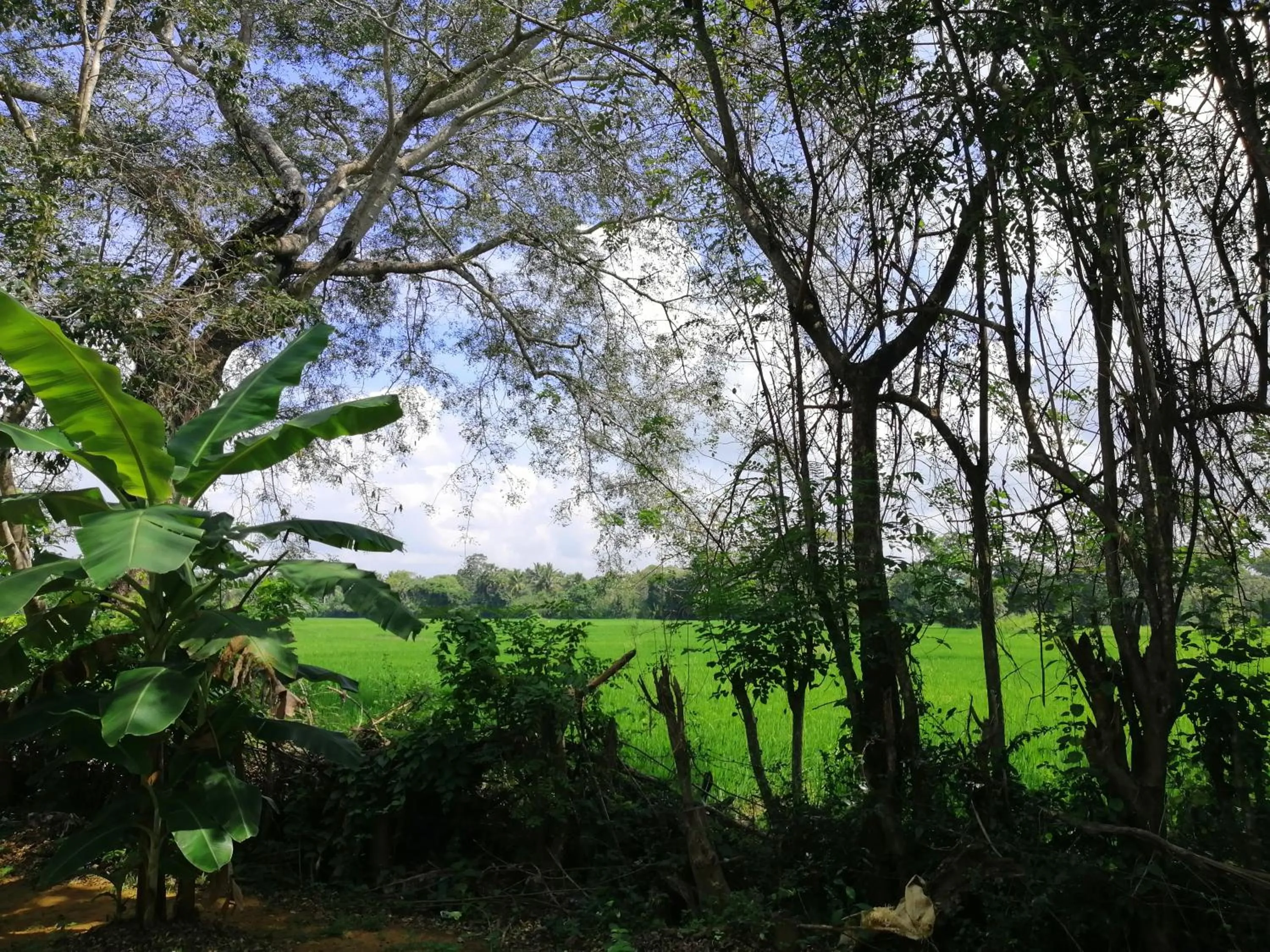 Ama Villa - Habarana