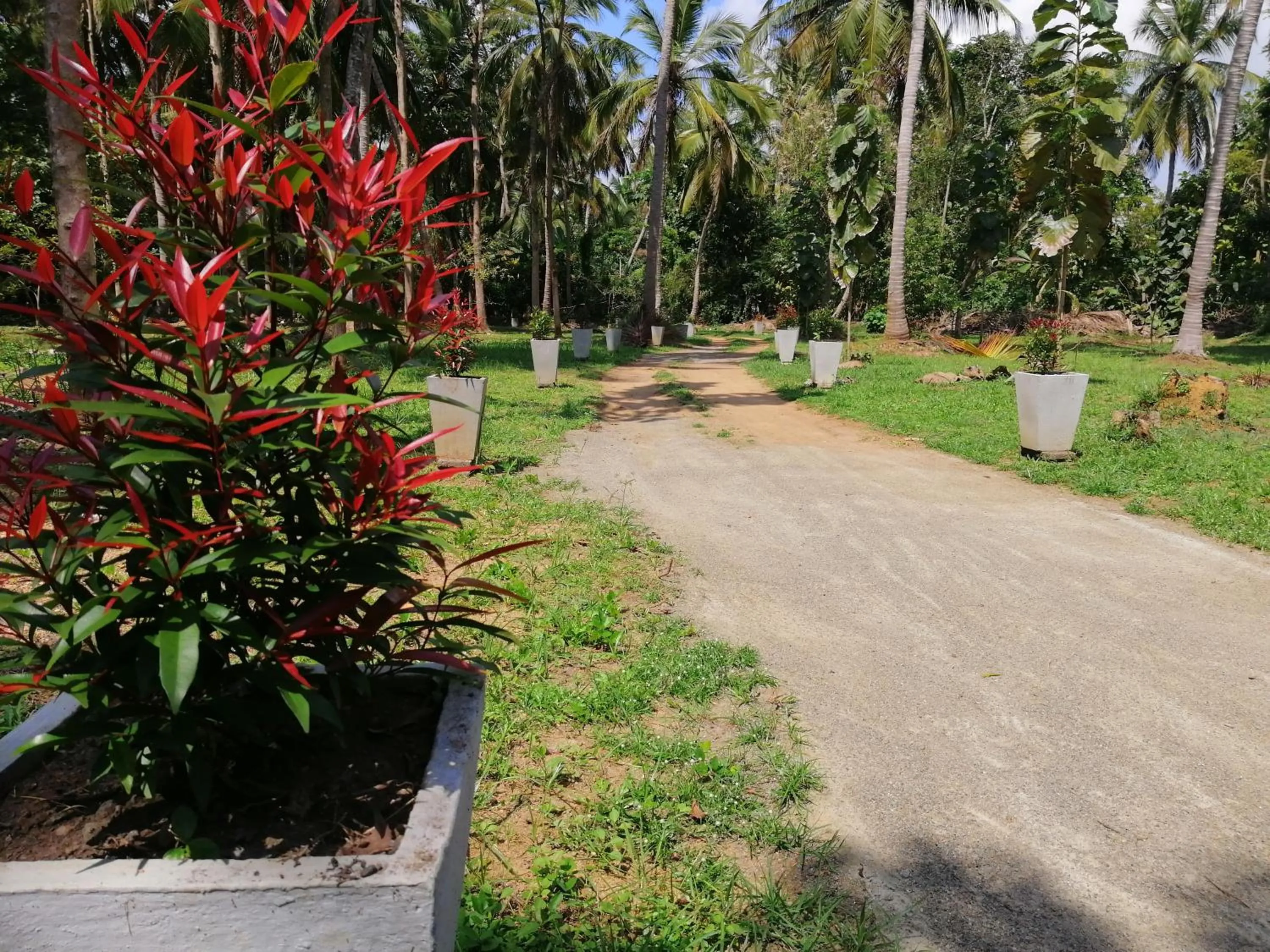 Ama Villa - Habarana