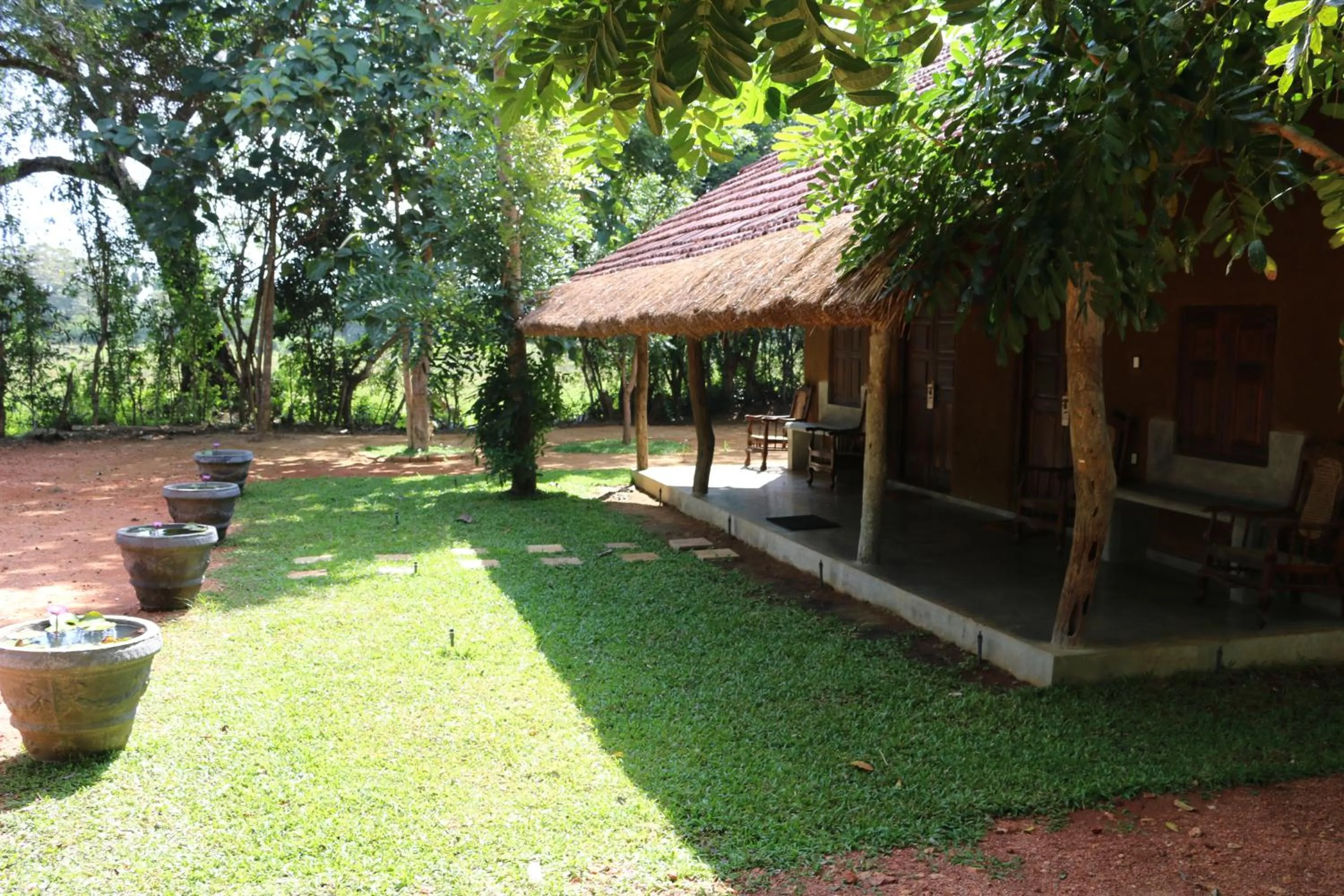 Garden view in Ama Villa - Habarana