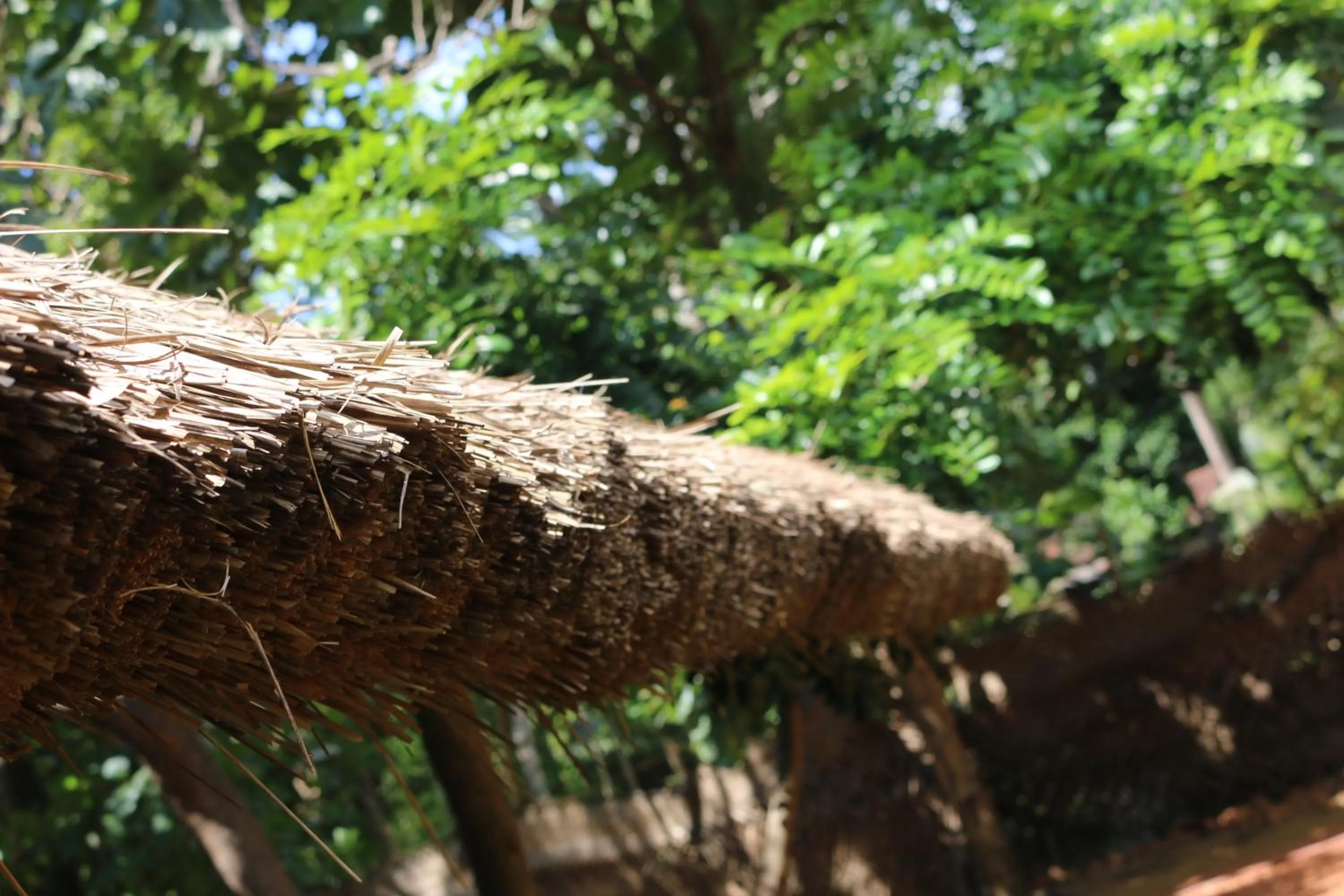 Garden view in Ama Villa - Habarana