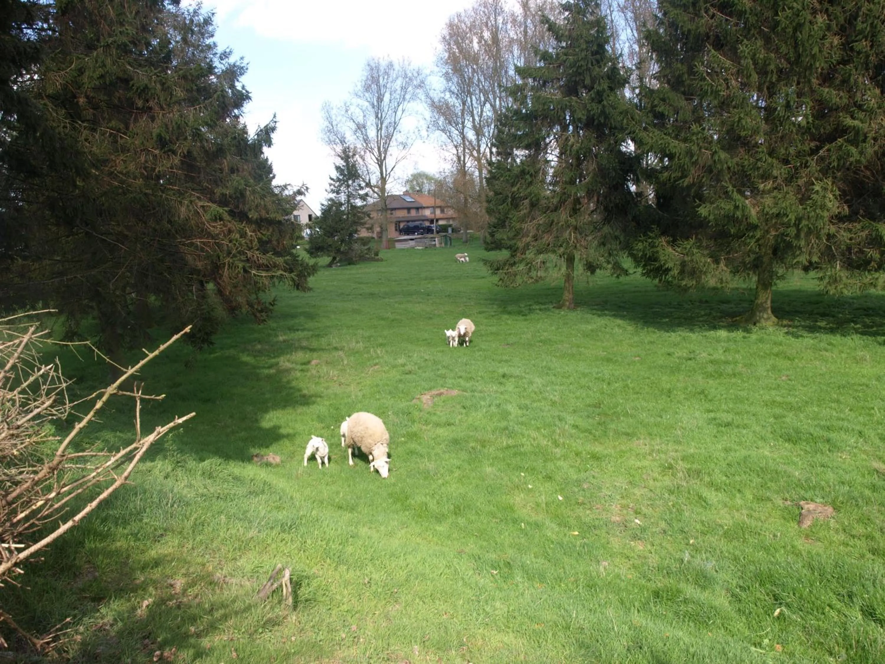 Area and facilities in Hotel De Stokerij