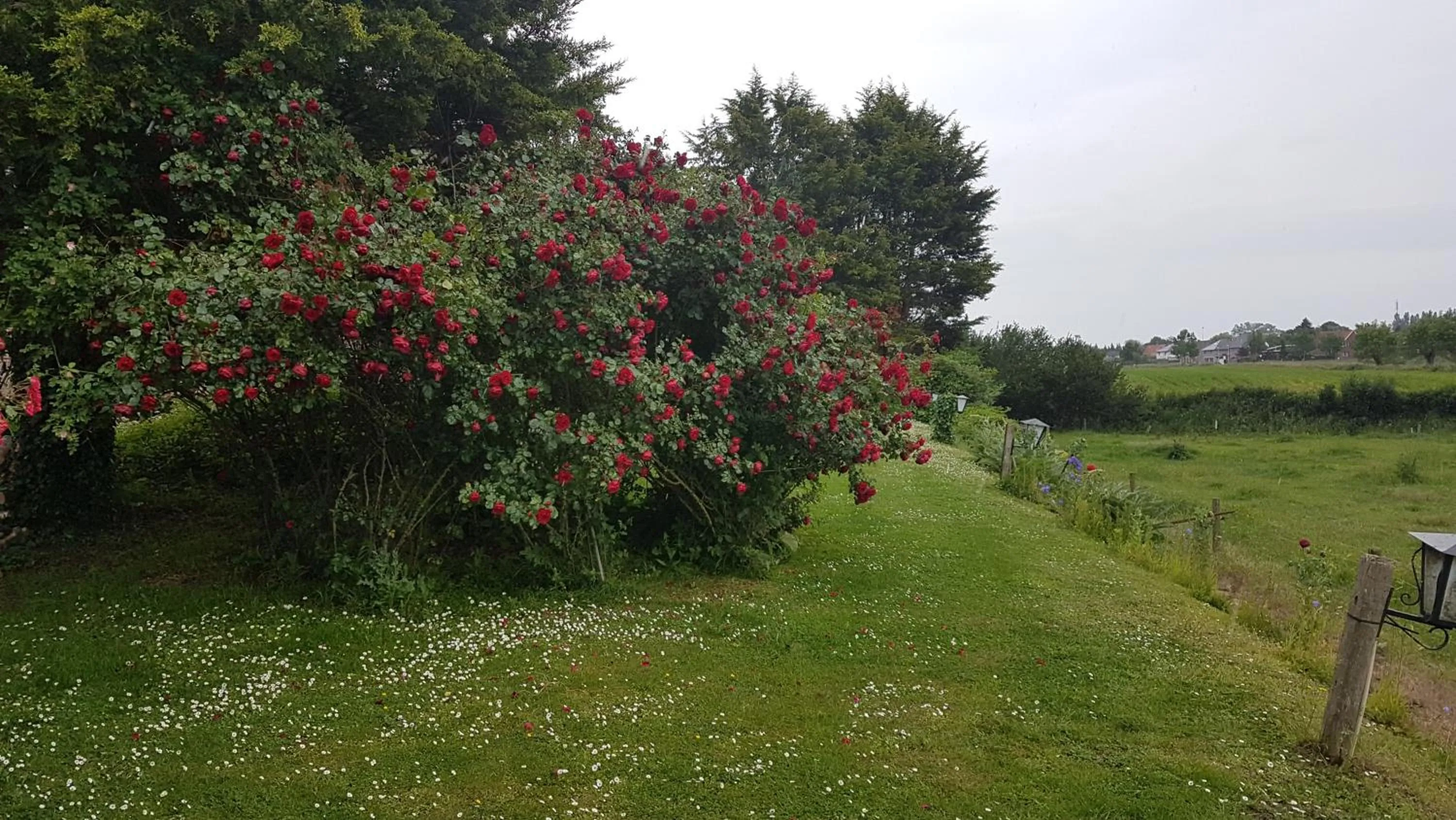 Garden in Hotel De Stokerij